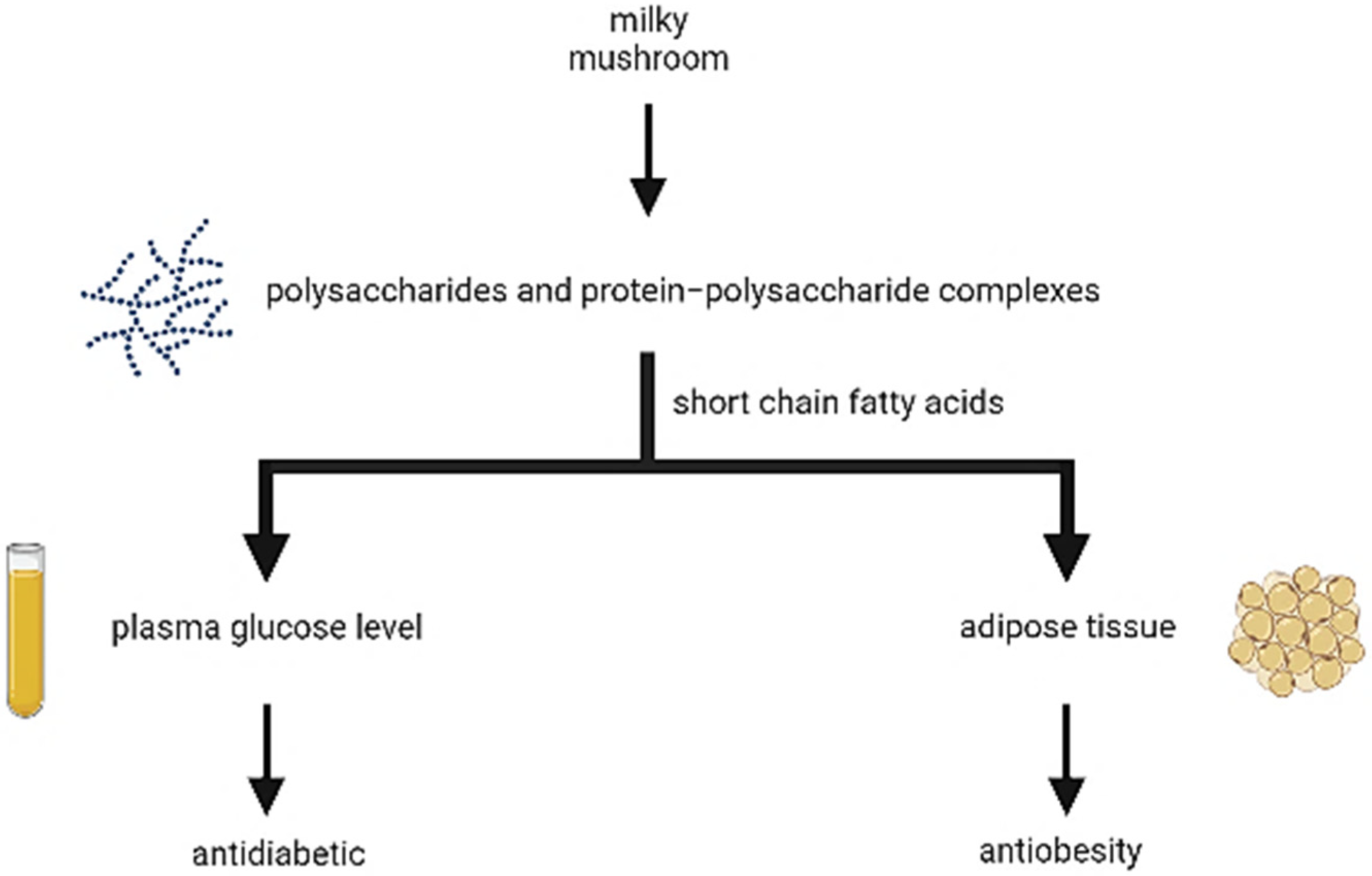 Antioxidants 11 01145 g006