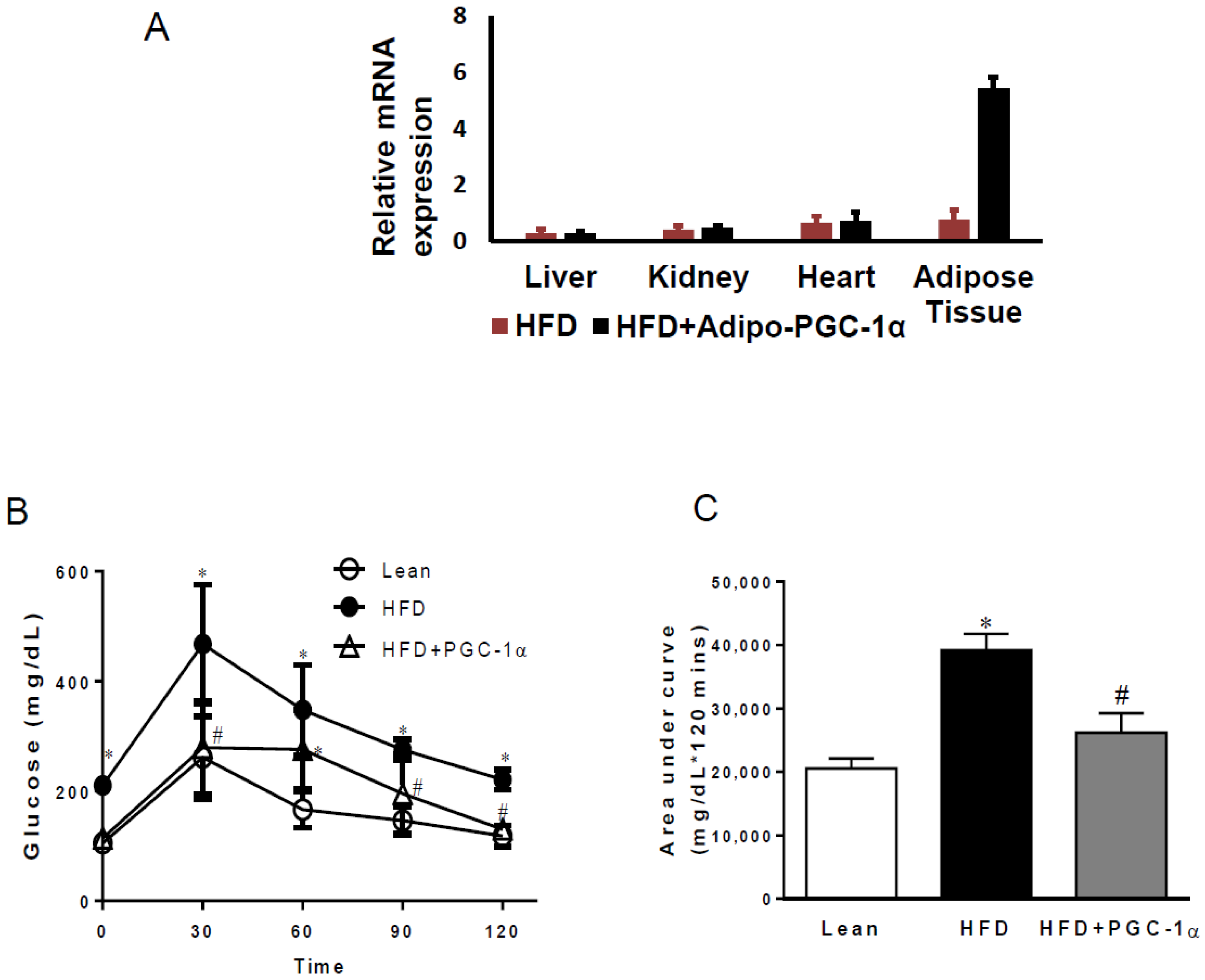 Antioxidants 11 01147 g001