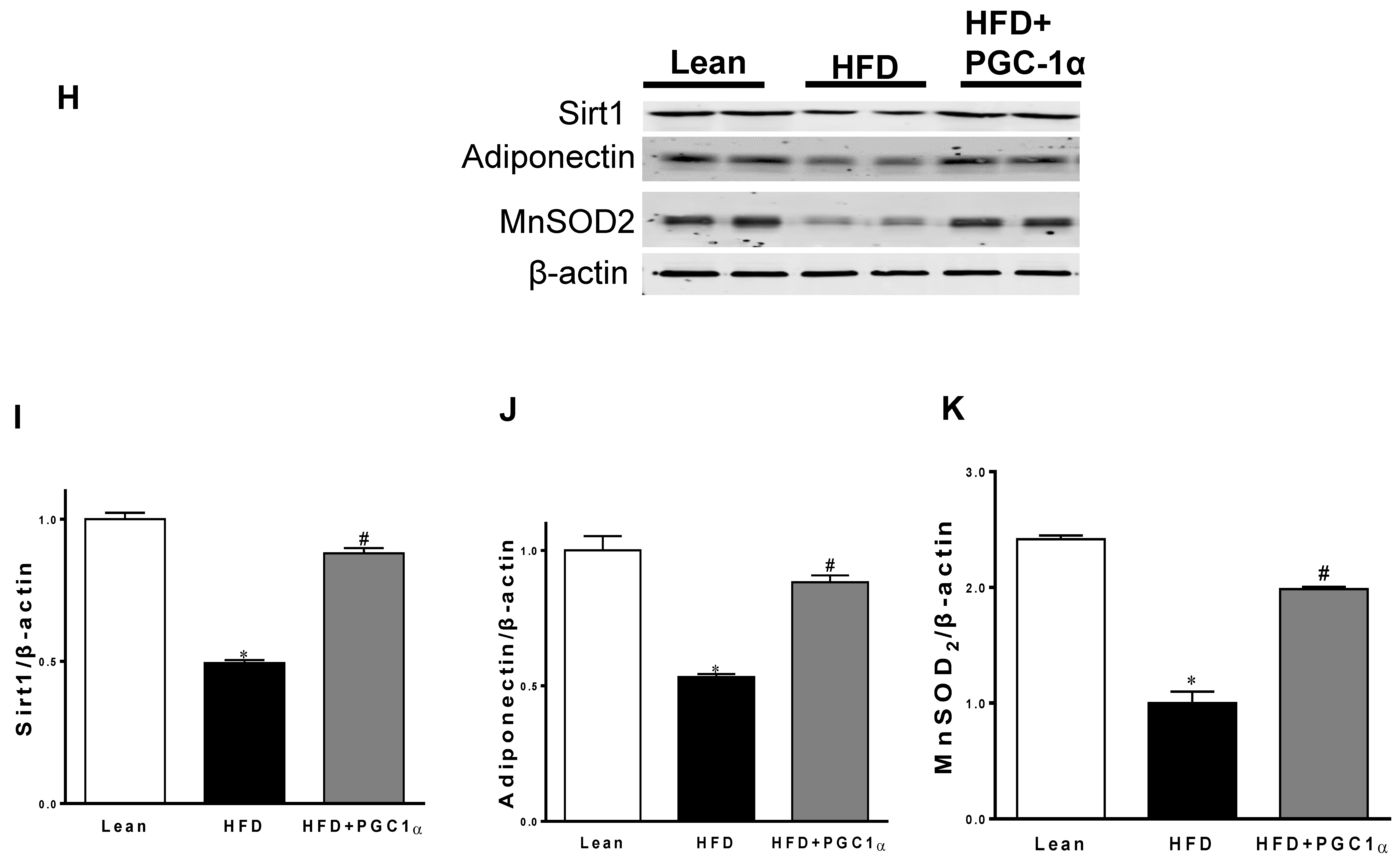 Antioxidants 11 01147 g004c