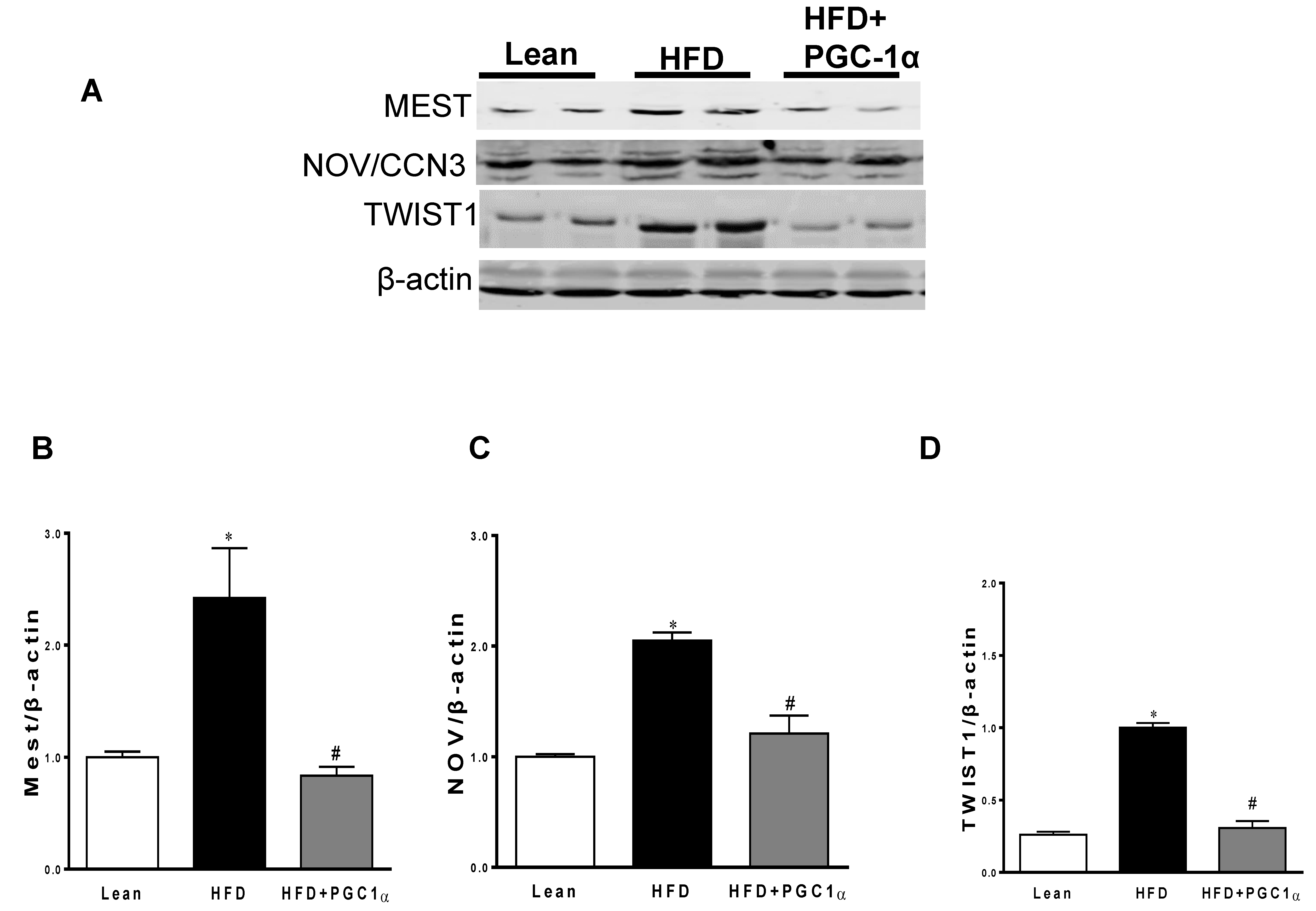 Antioxidants 11 01147 g005a