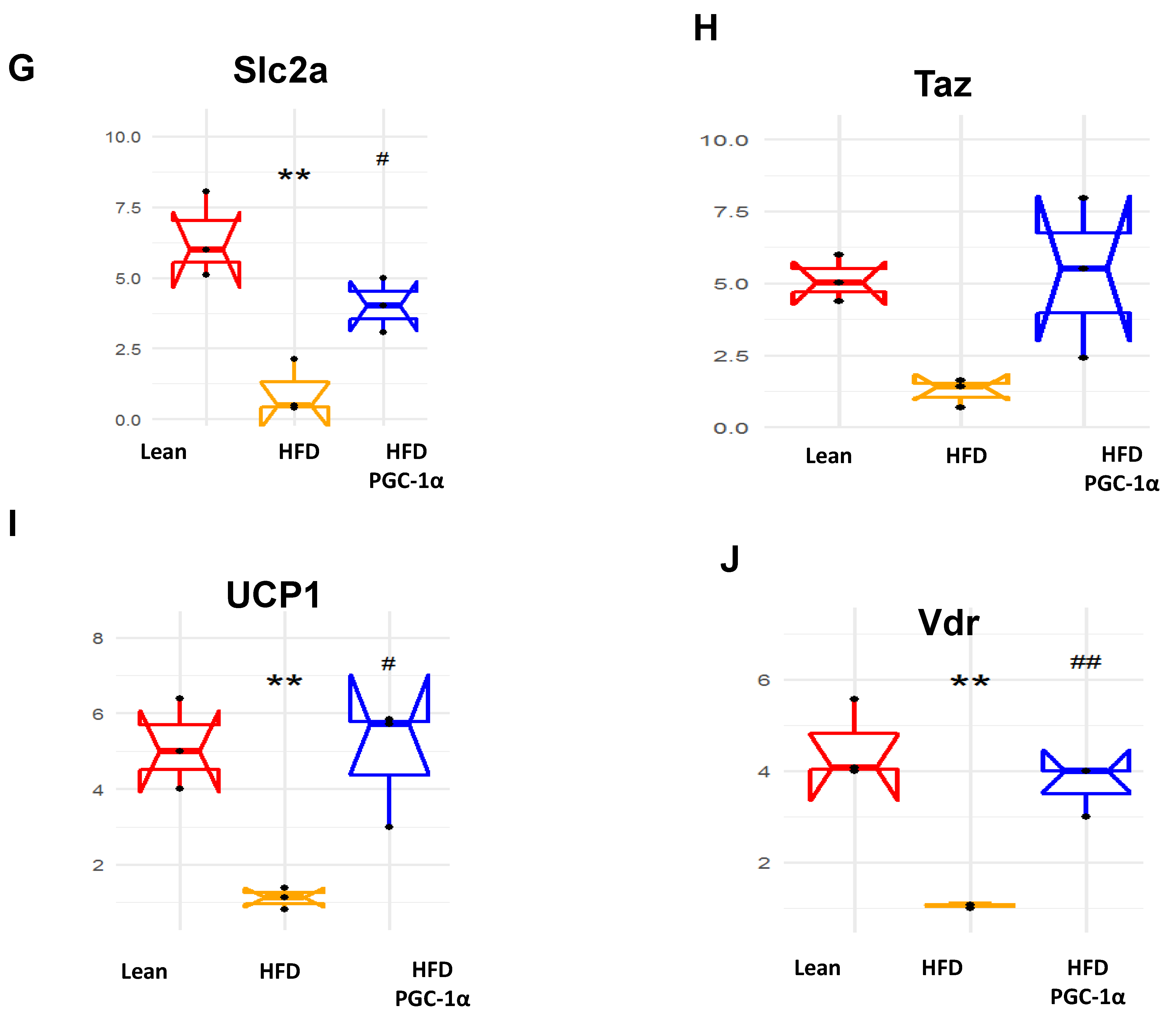 Antioxidants 11 01147 g007b