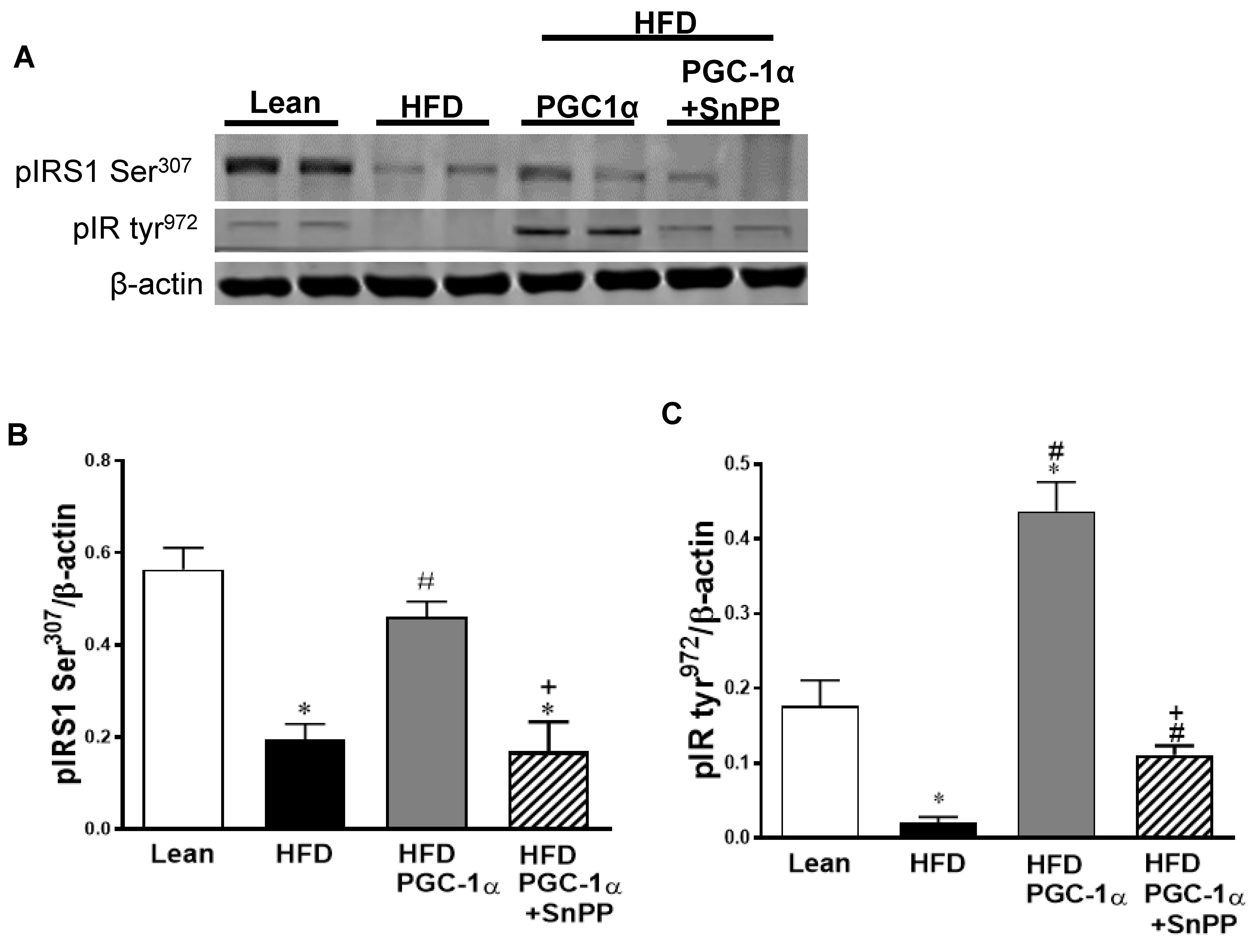 Antioxidants 11 01147 g008a