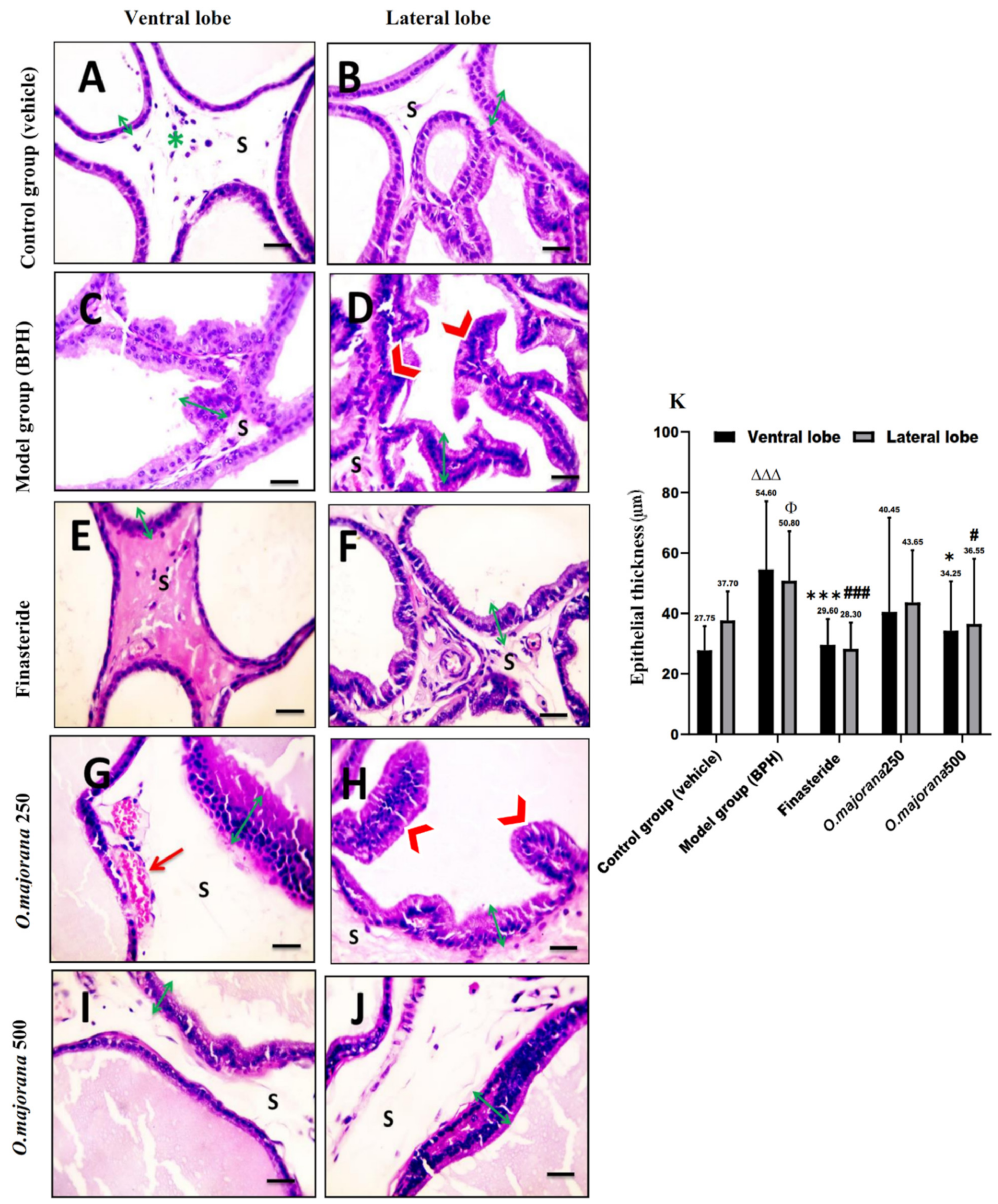Antioxidants 11 01149 g007 Antioxidants 11 01149 g007