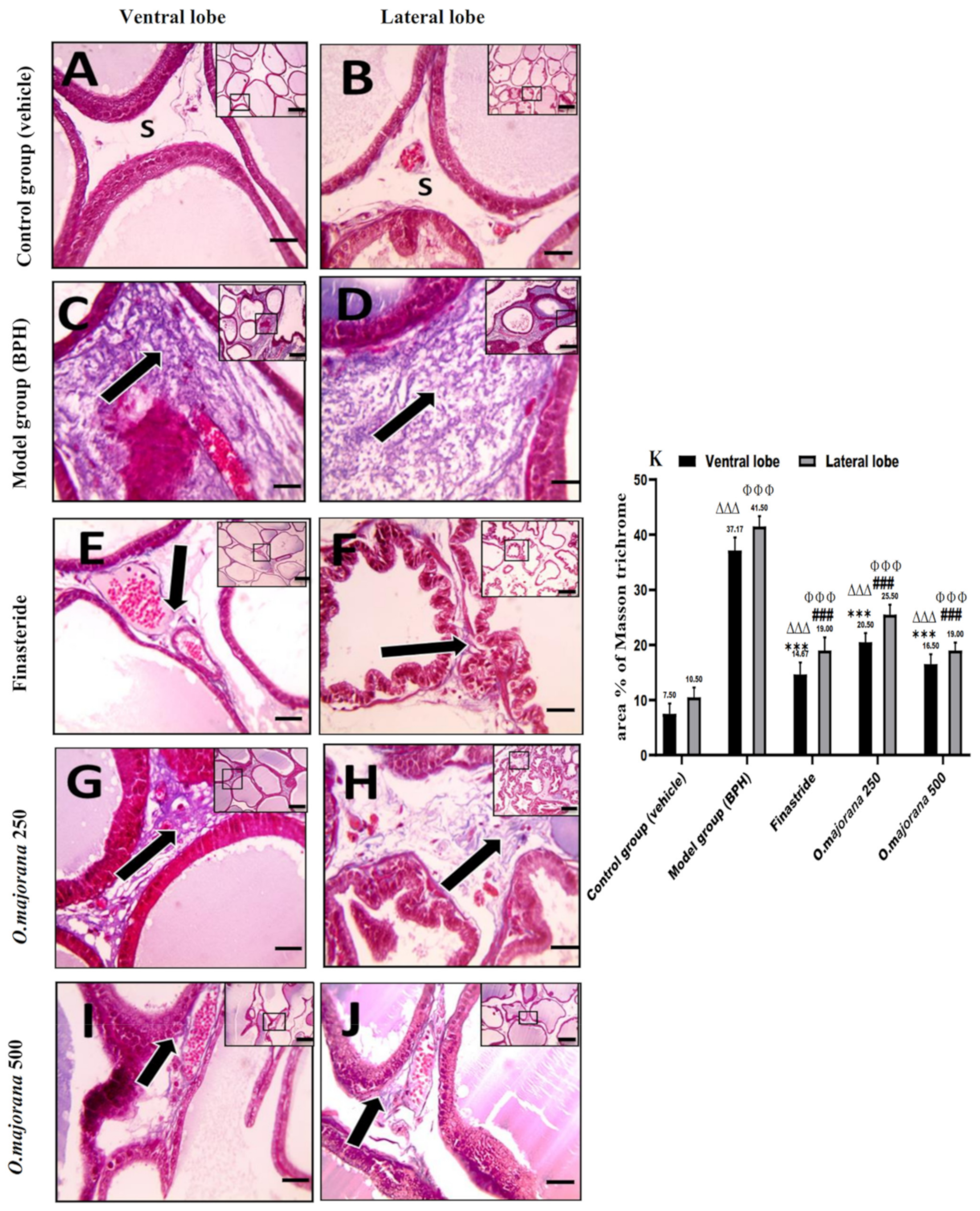 Antioxidants 11 01149 g008 Antioxidants 11 01149 g008