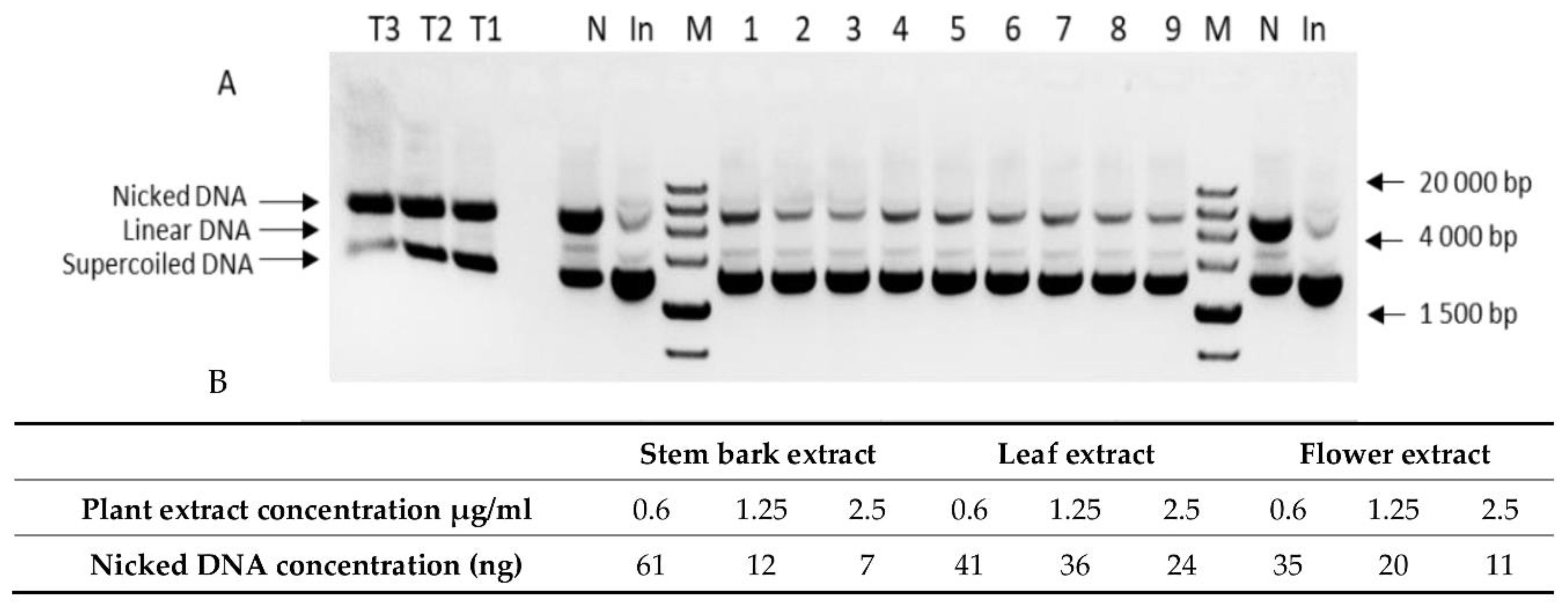 Antioxidants 11 01154 g001