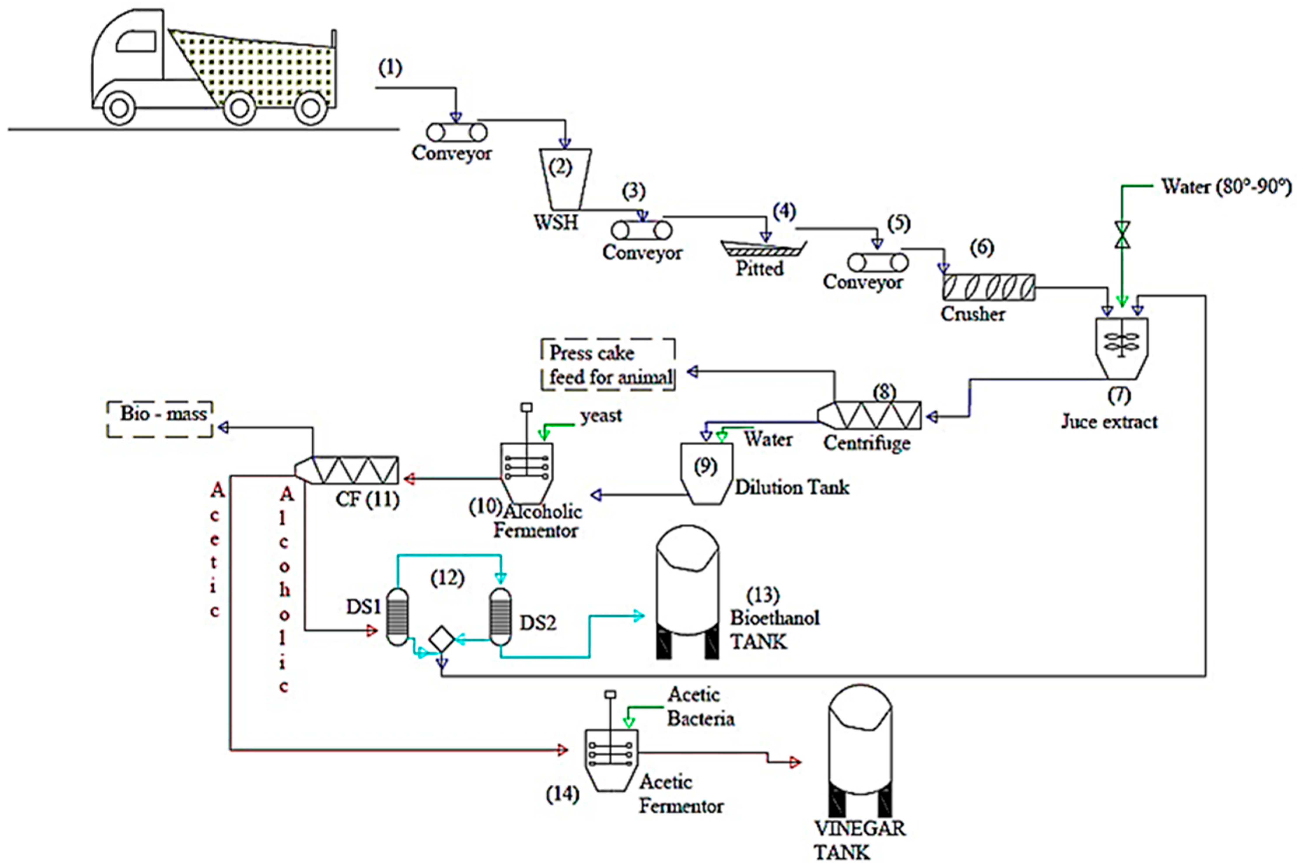 Antioxidants 11 01155 g008