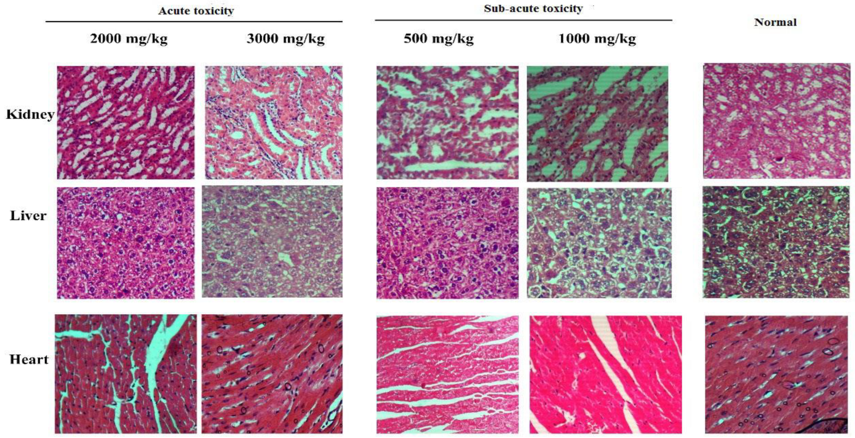 Antioxidants 11 01160 g002 Antioxidants 11 01160 g002