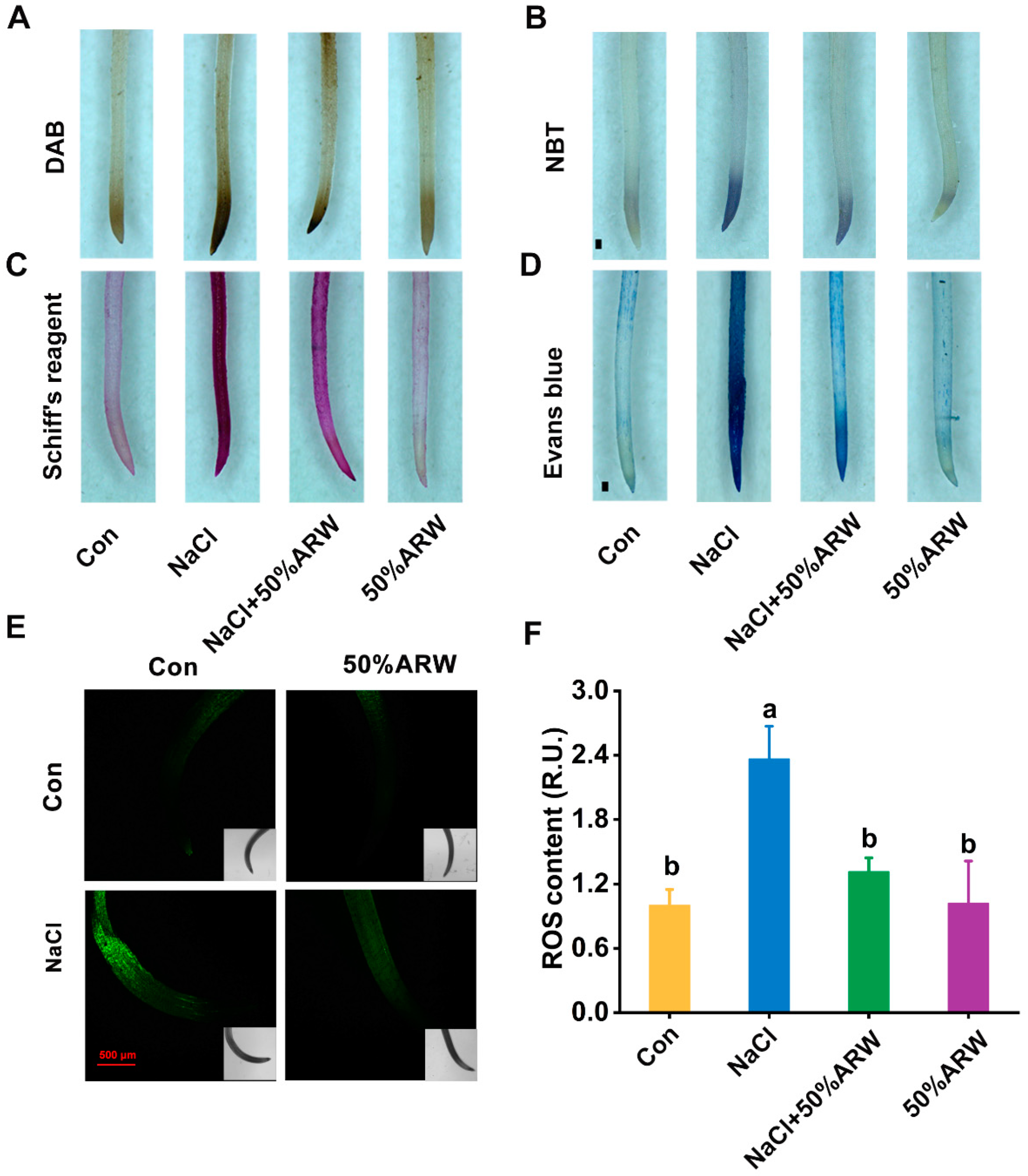 Antioxidants 11 01168 g004
