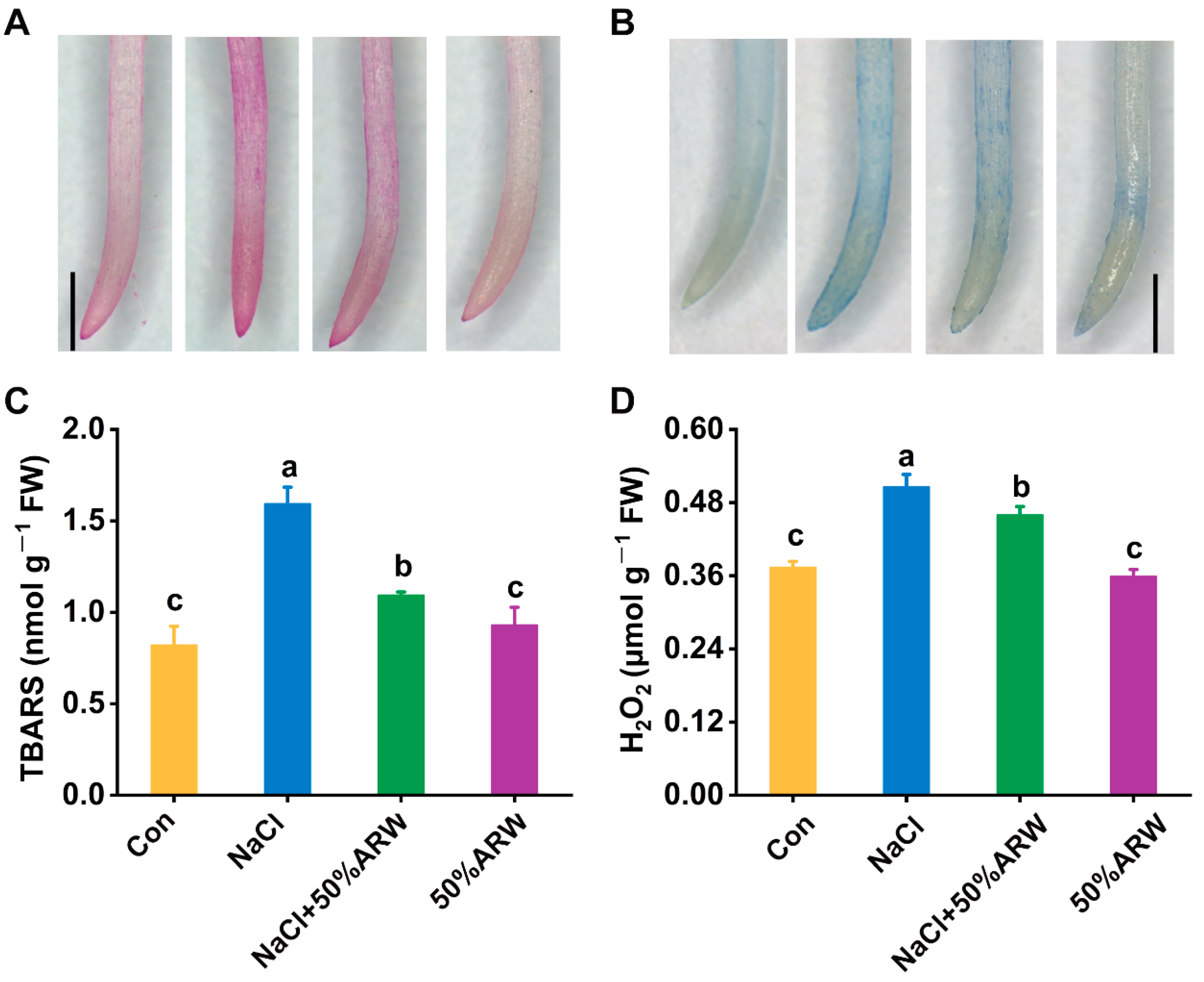 Antioxidants 11 01168 g008