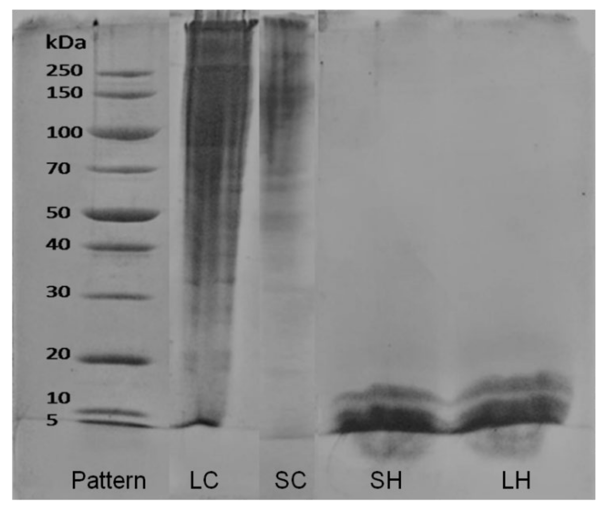 Antioxidants 11 01173 g002