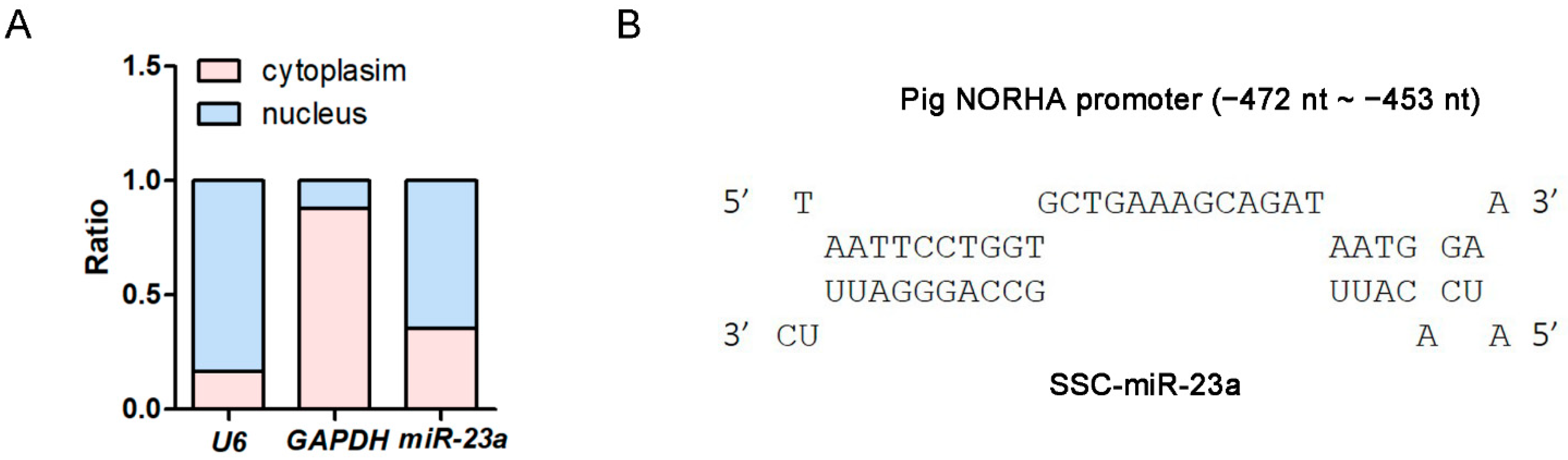Antioxidants 11 01174 g002a
