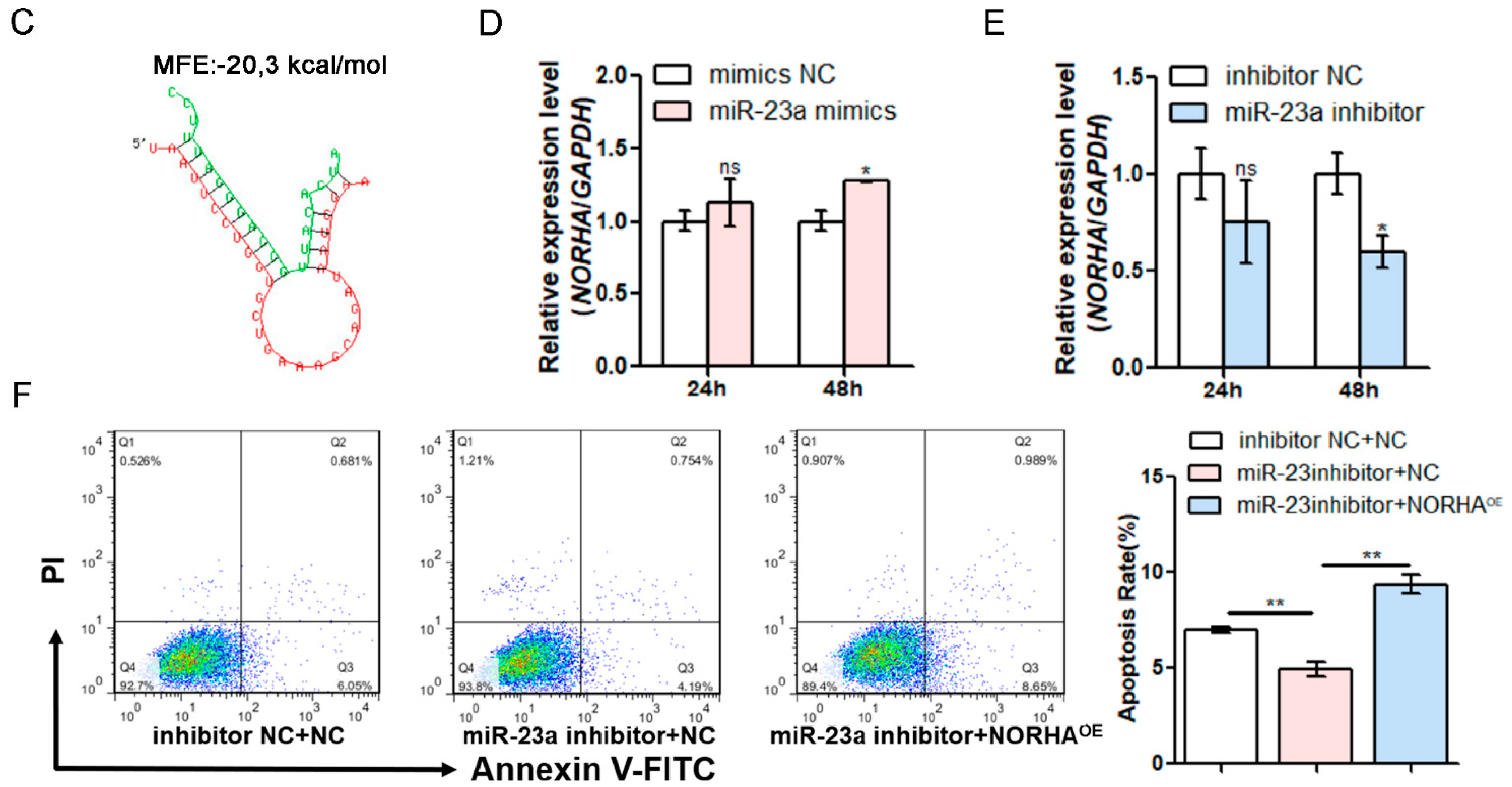 Antioxidants 11 01174 g002b