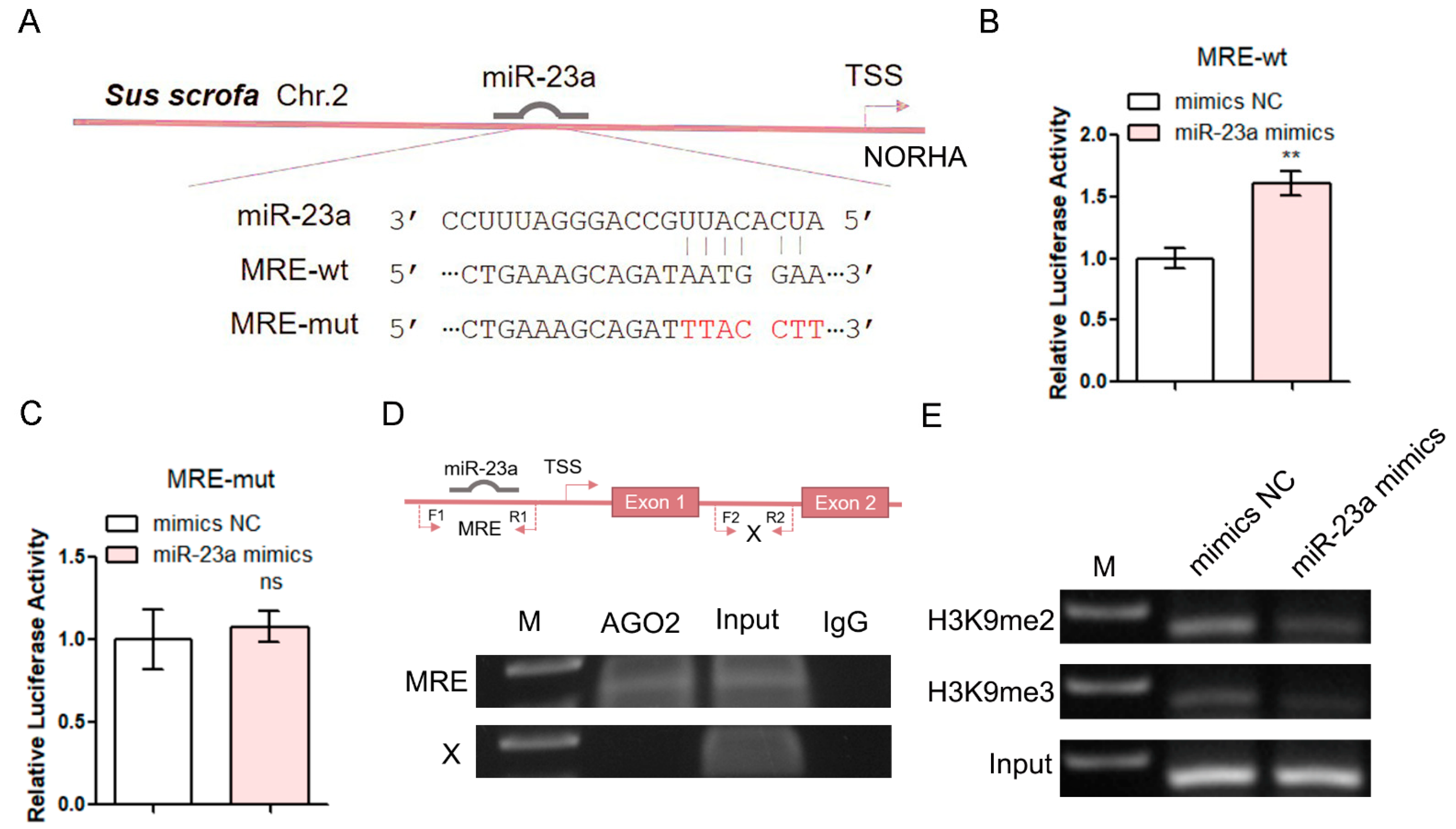 Antioxidants 11 01174 g003