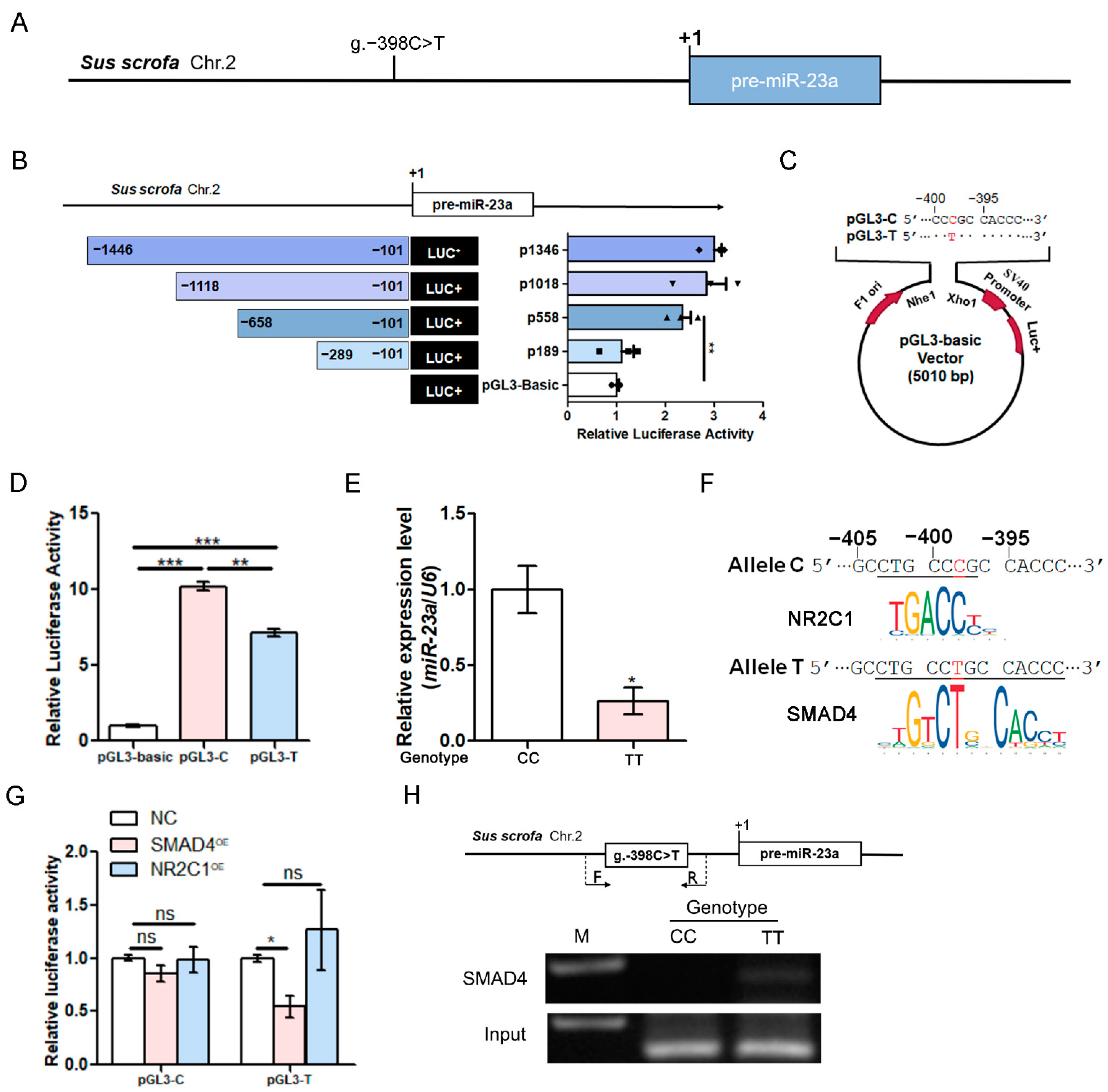 Antioxidants 11 01174 g004