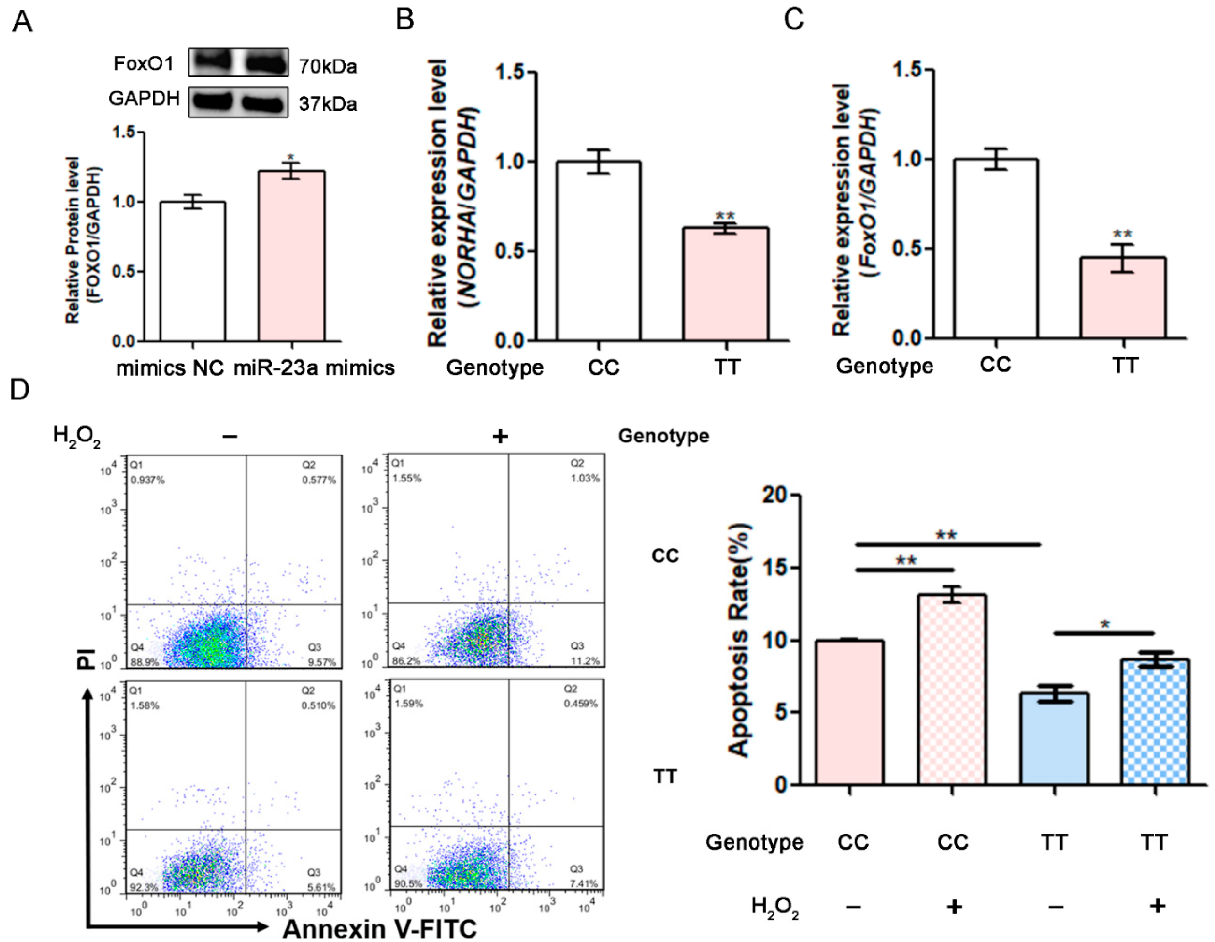 Antioxidants 11 01174 g006