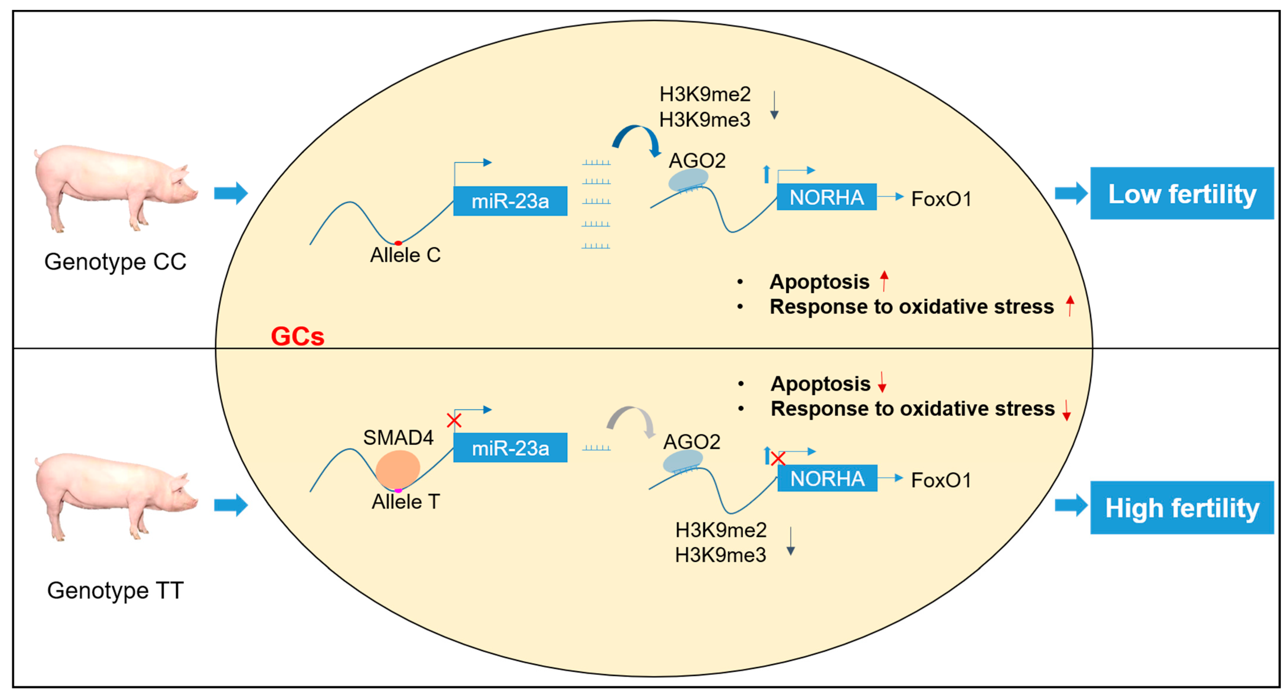 Antioxidants 11 01174 g008