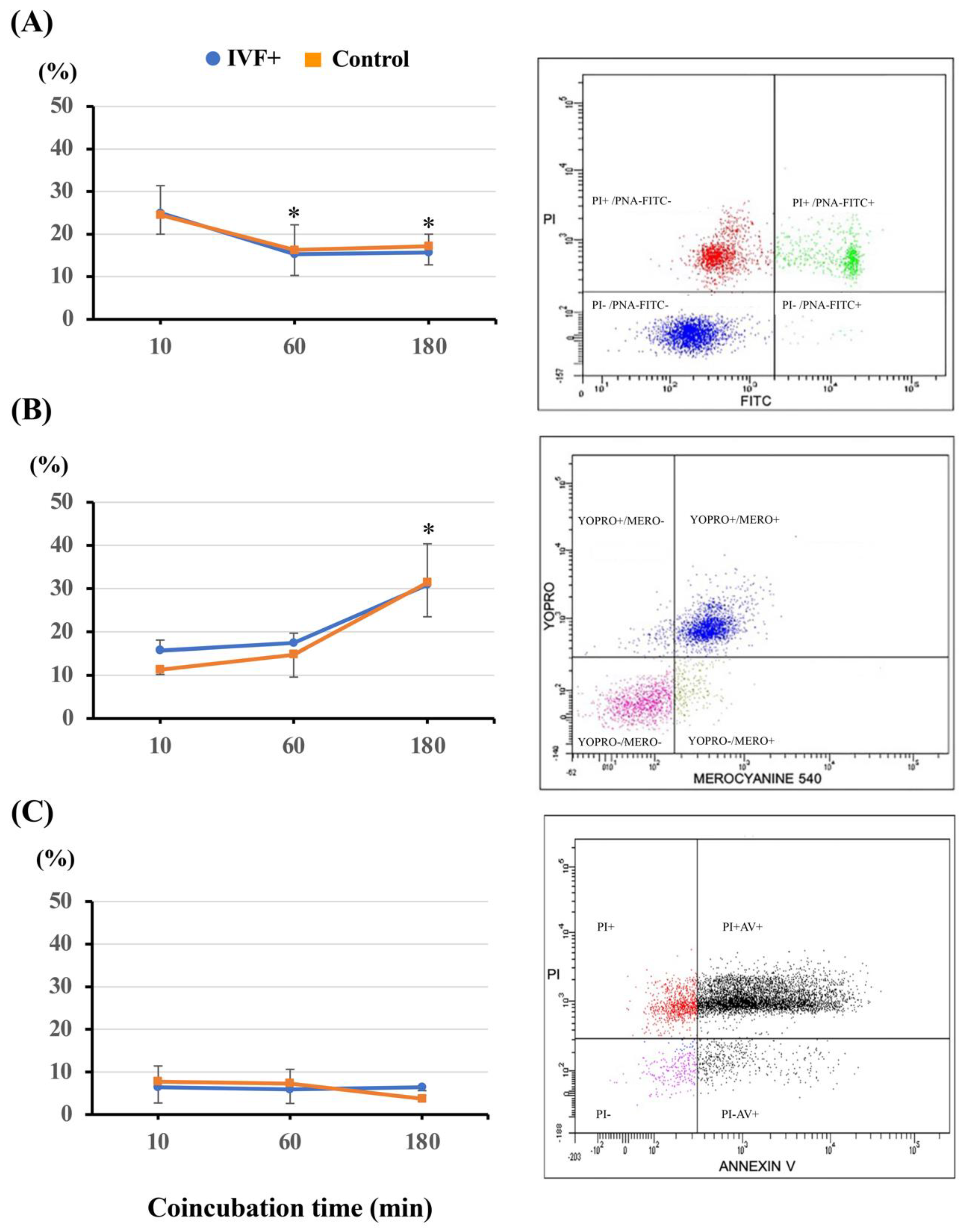 Antioxidants 11 01177 g002 Antioxidants 11 01177 g002