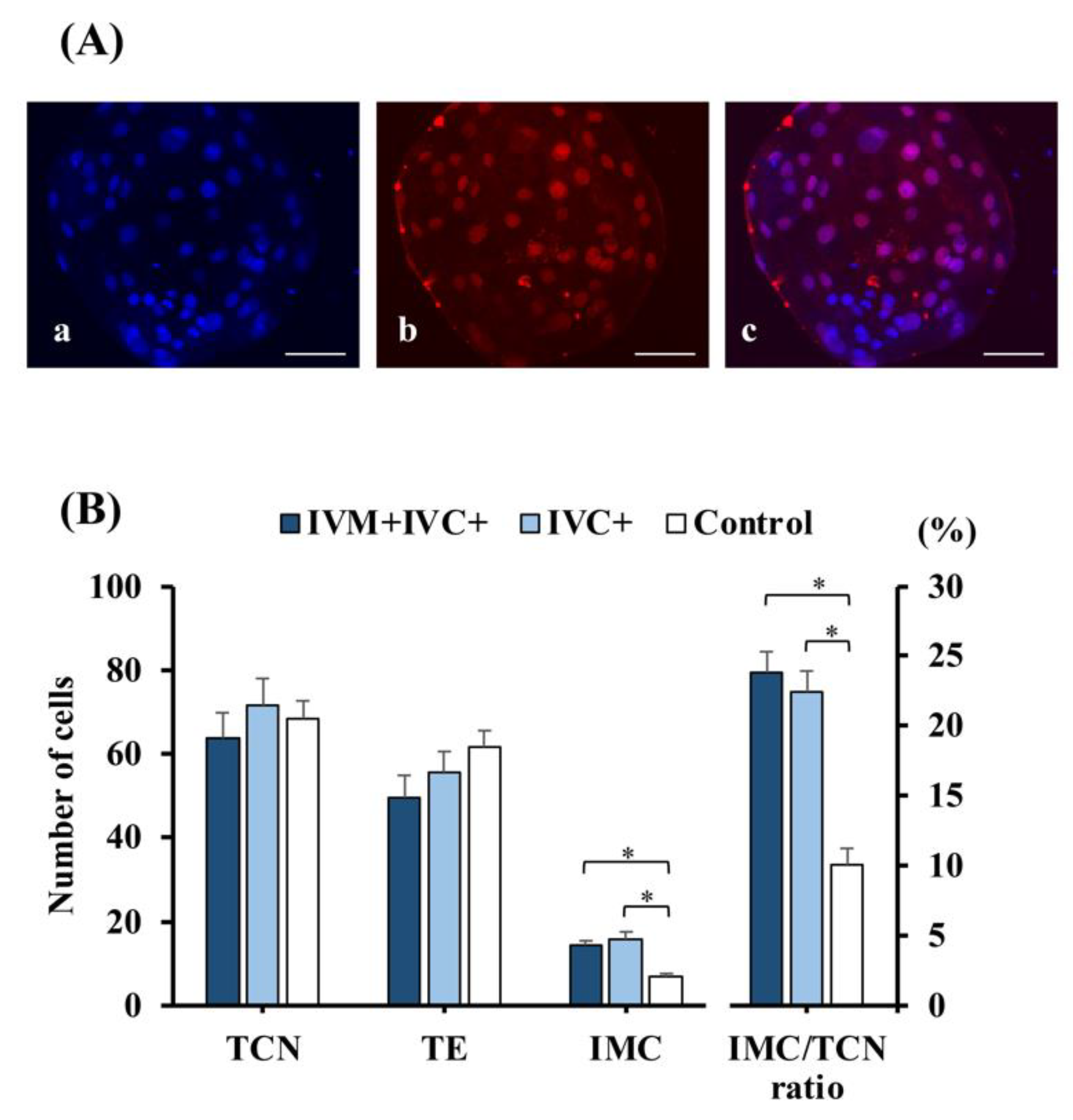 Antioxidants 11 01177 g004 Antioxidants 11 01177 g004