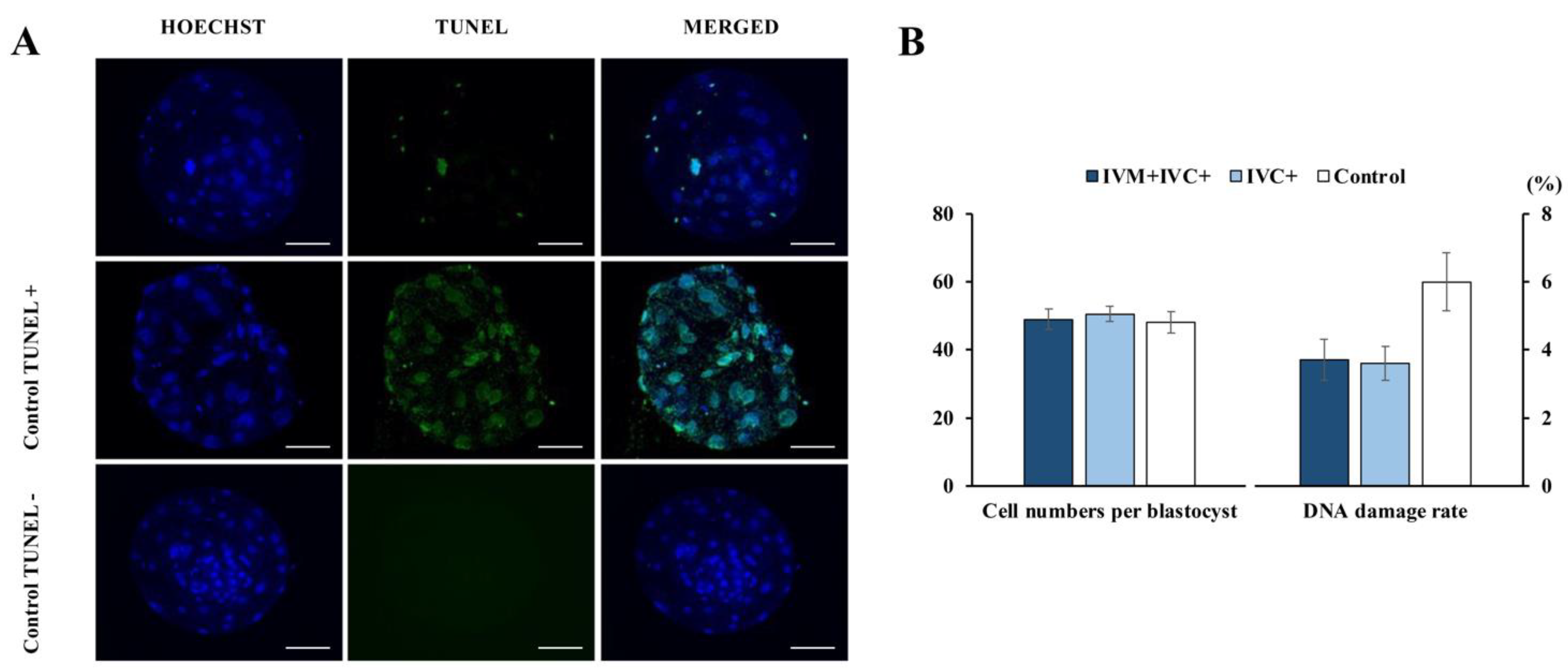 Antioxidants 11 01177 g006 Antioxidants 11 01177 g006