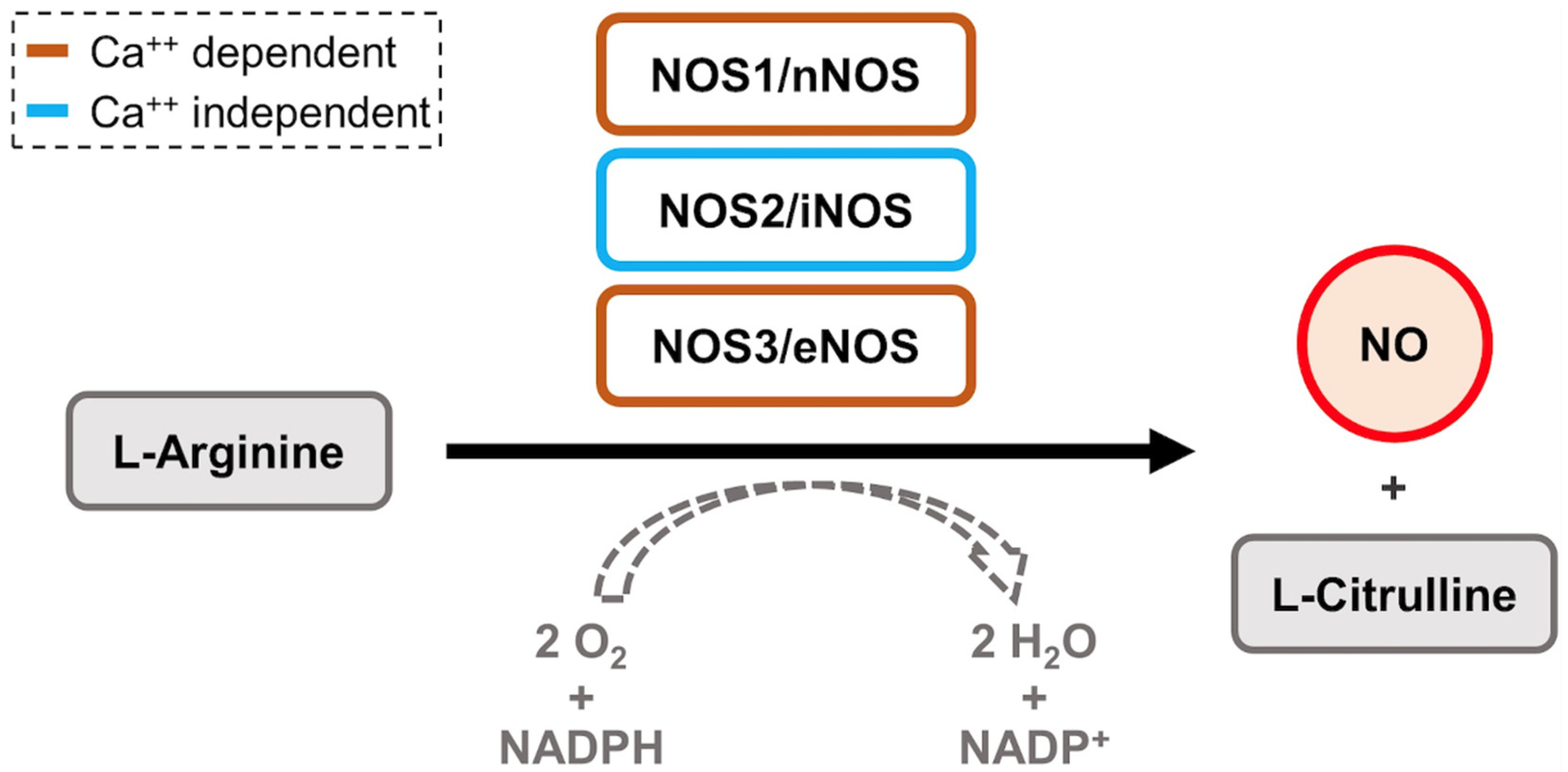 Antioxidants 11 01195 g001