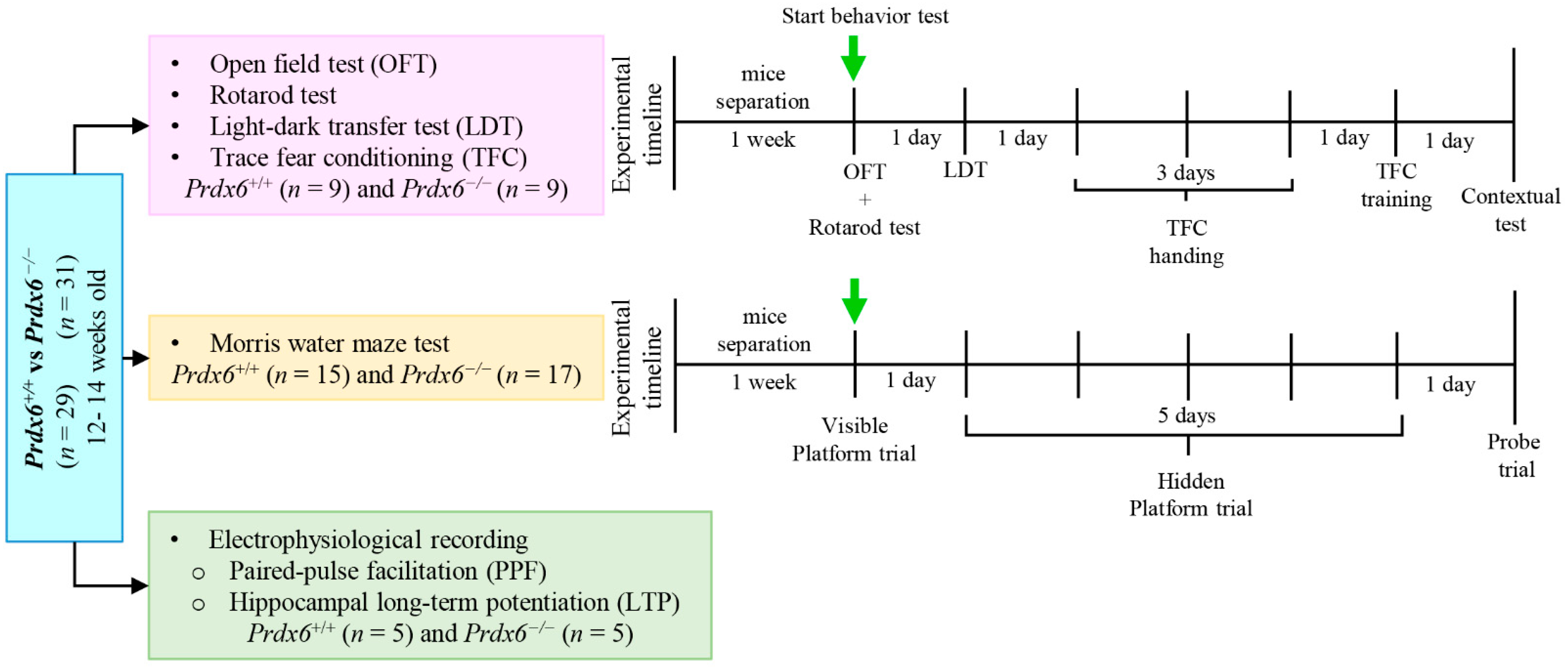Antioxidants 11 01201 g001