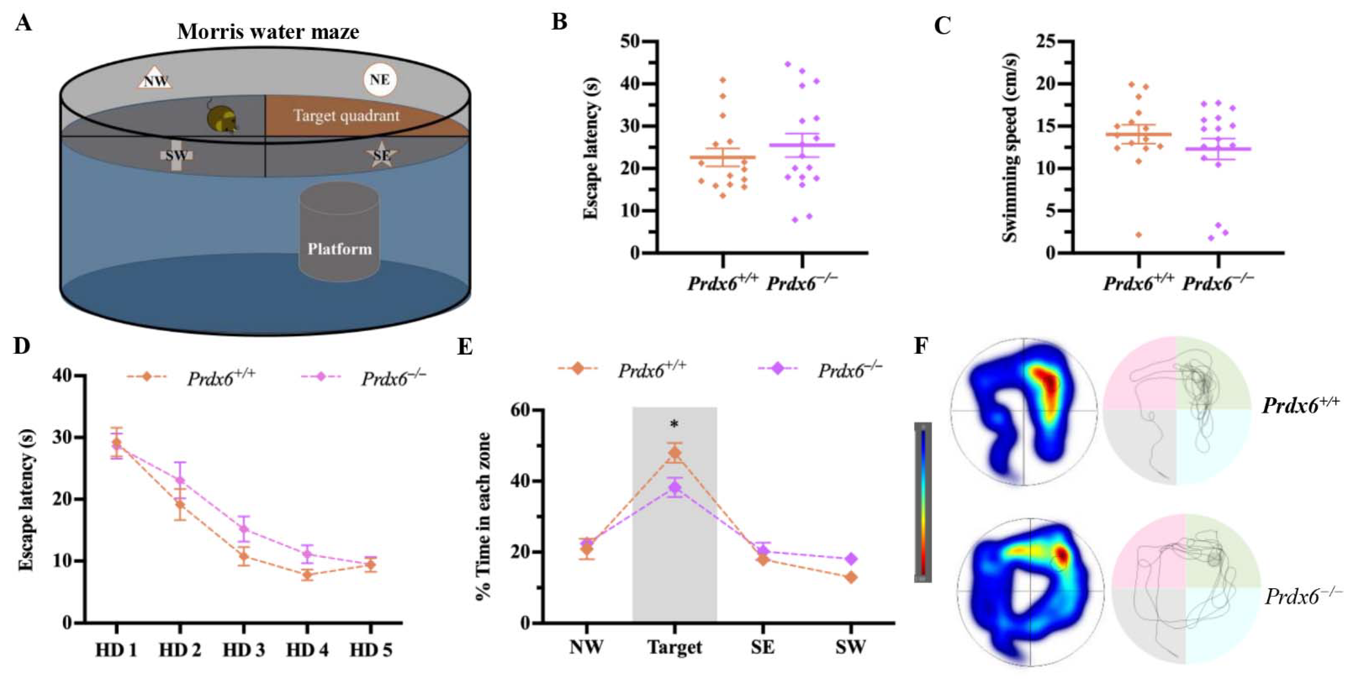 Antioxidants 11 01201 g005