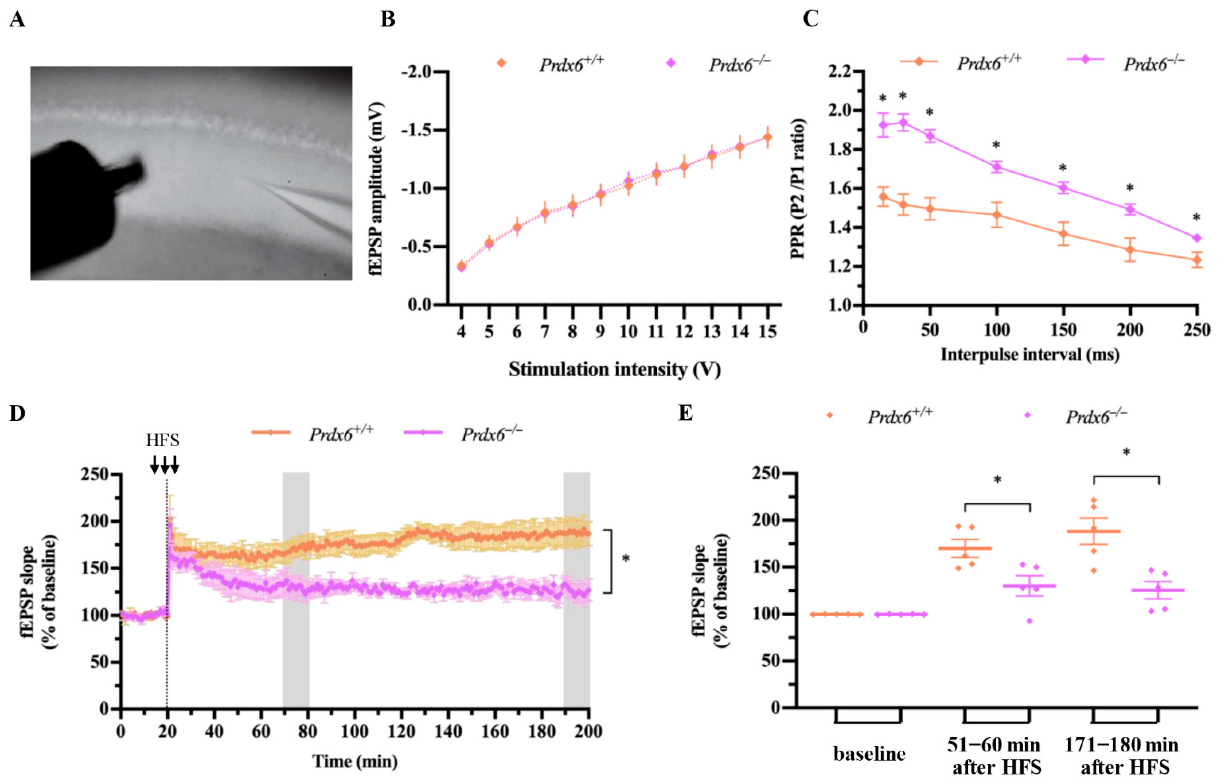Antioxidants 11 01201 g006