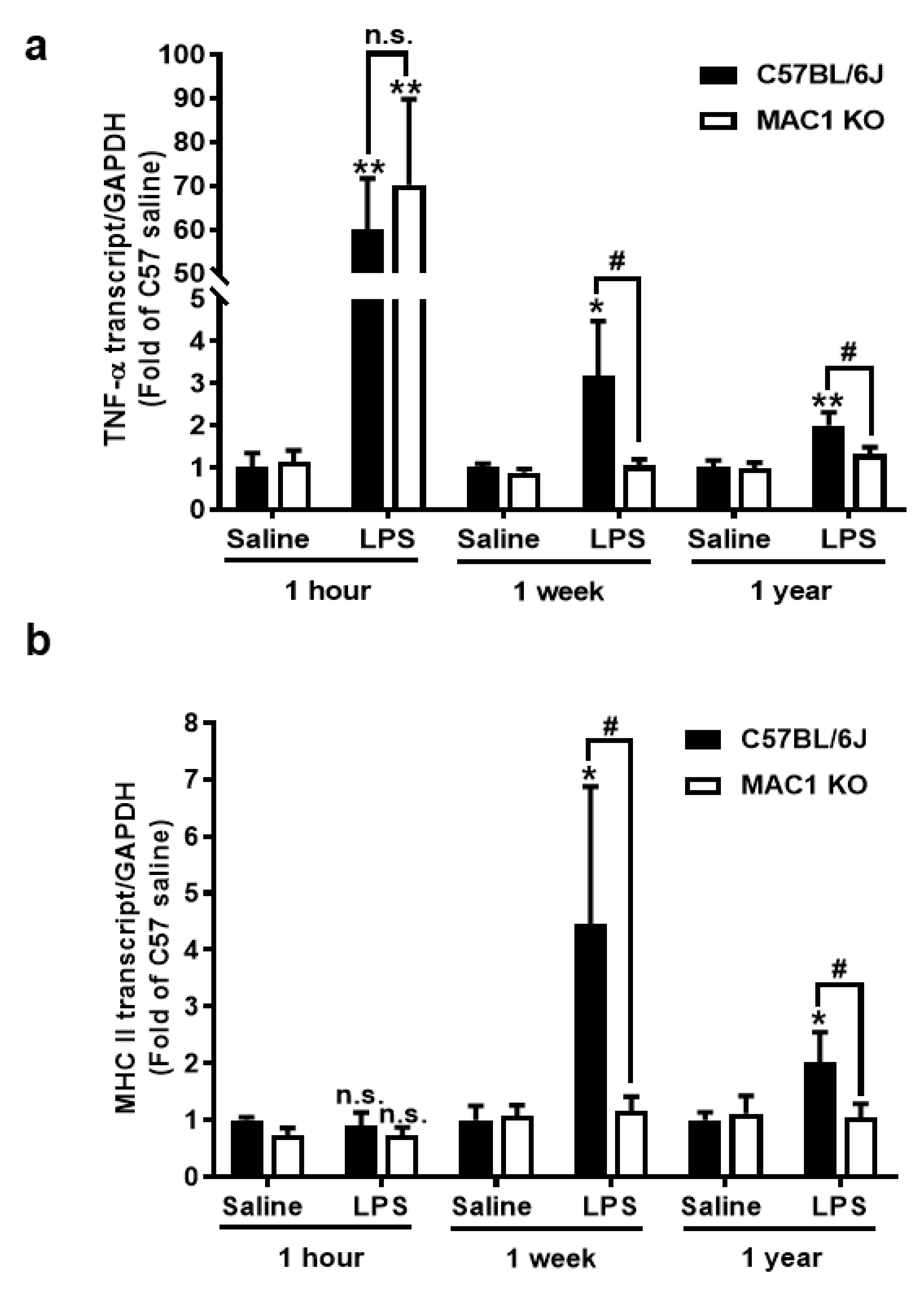 Antioxidants 11 01202 g001a