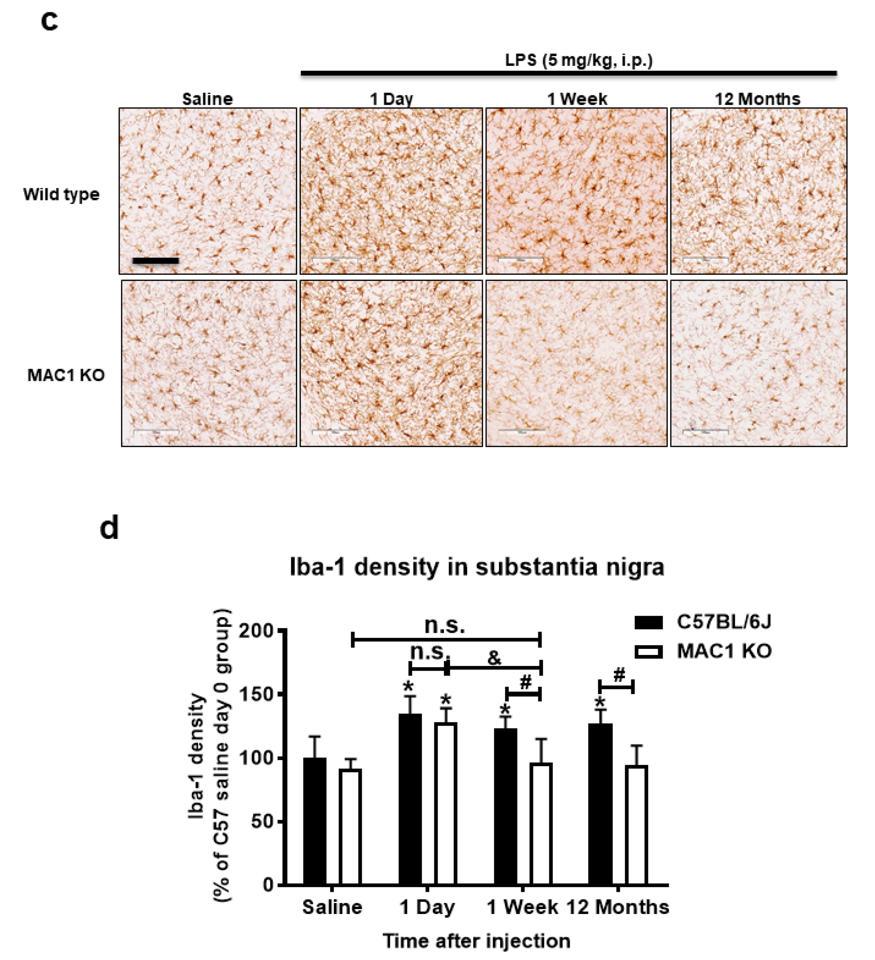 Antioxidants 11 01202 g001b