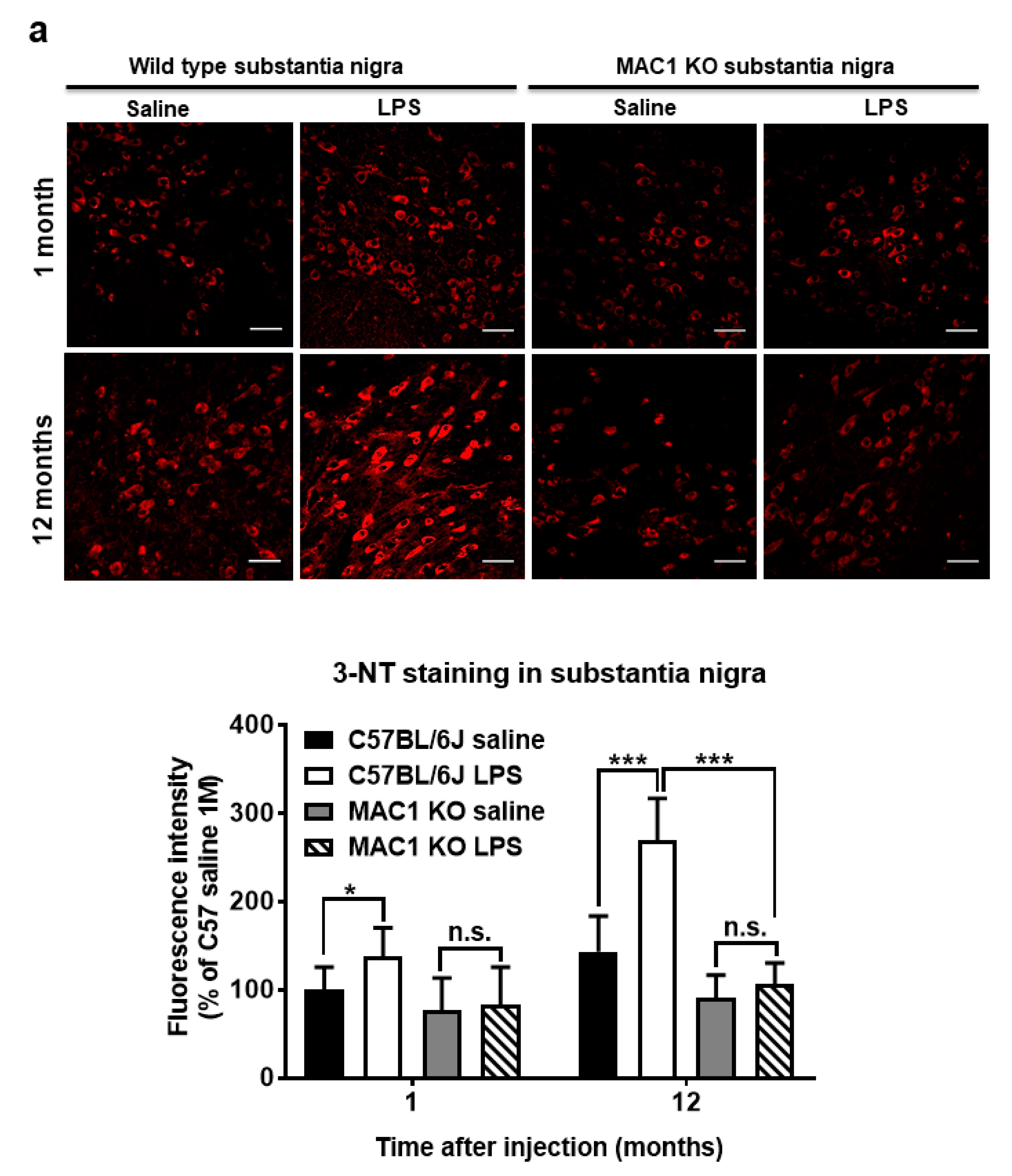 Antioxidants 11 01202 g004a