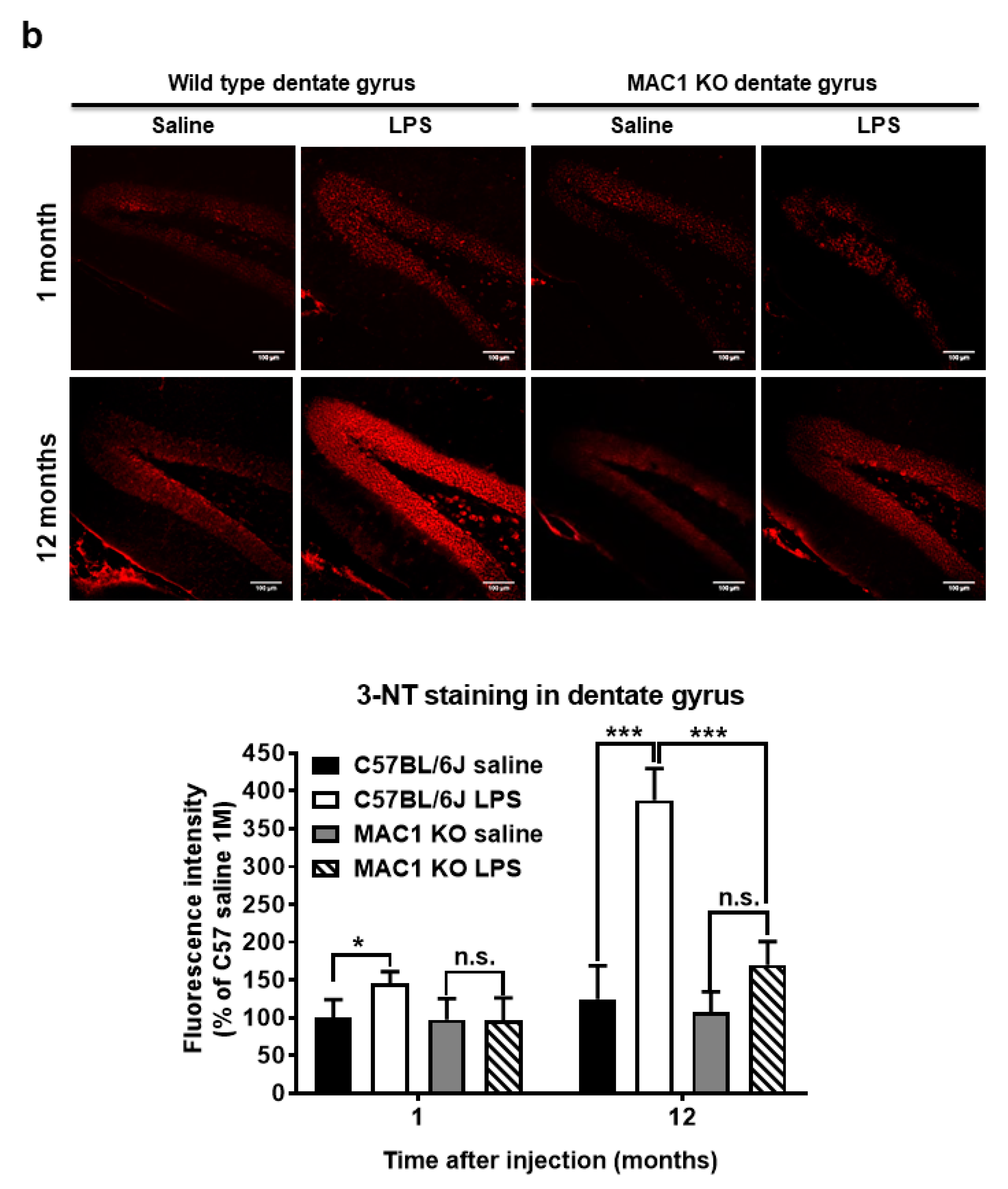 Antioxidants 11 01202 g004b