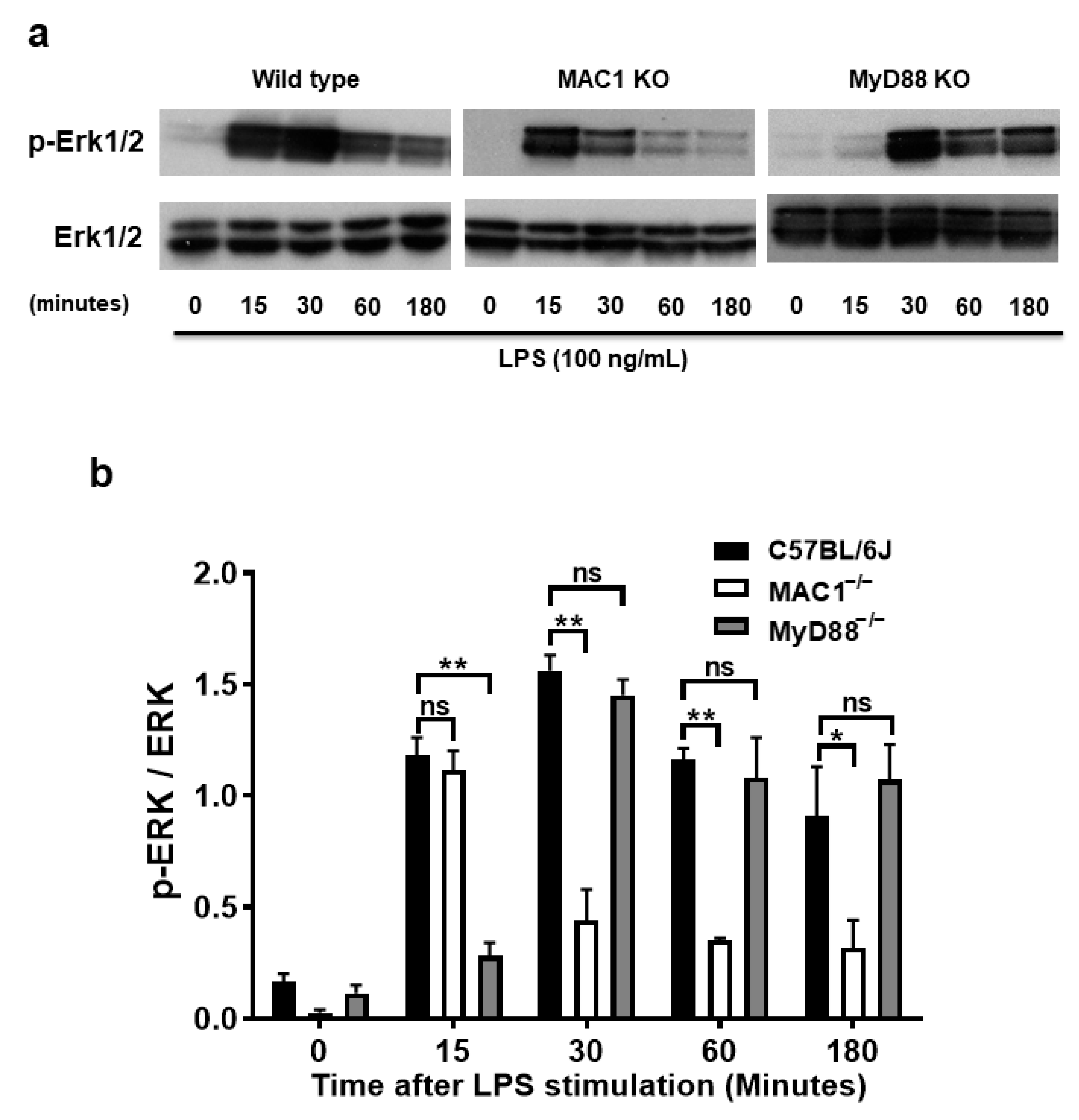 Antioxidants 11 01202 g006a