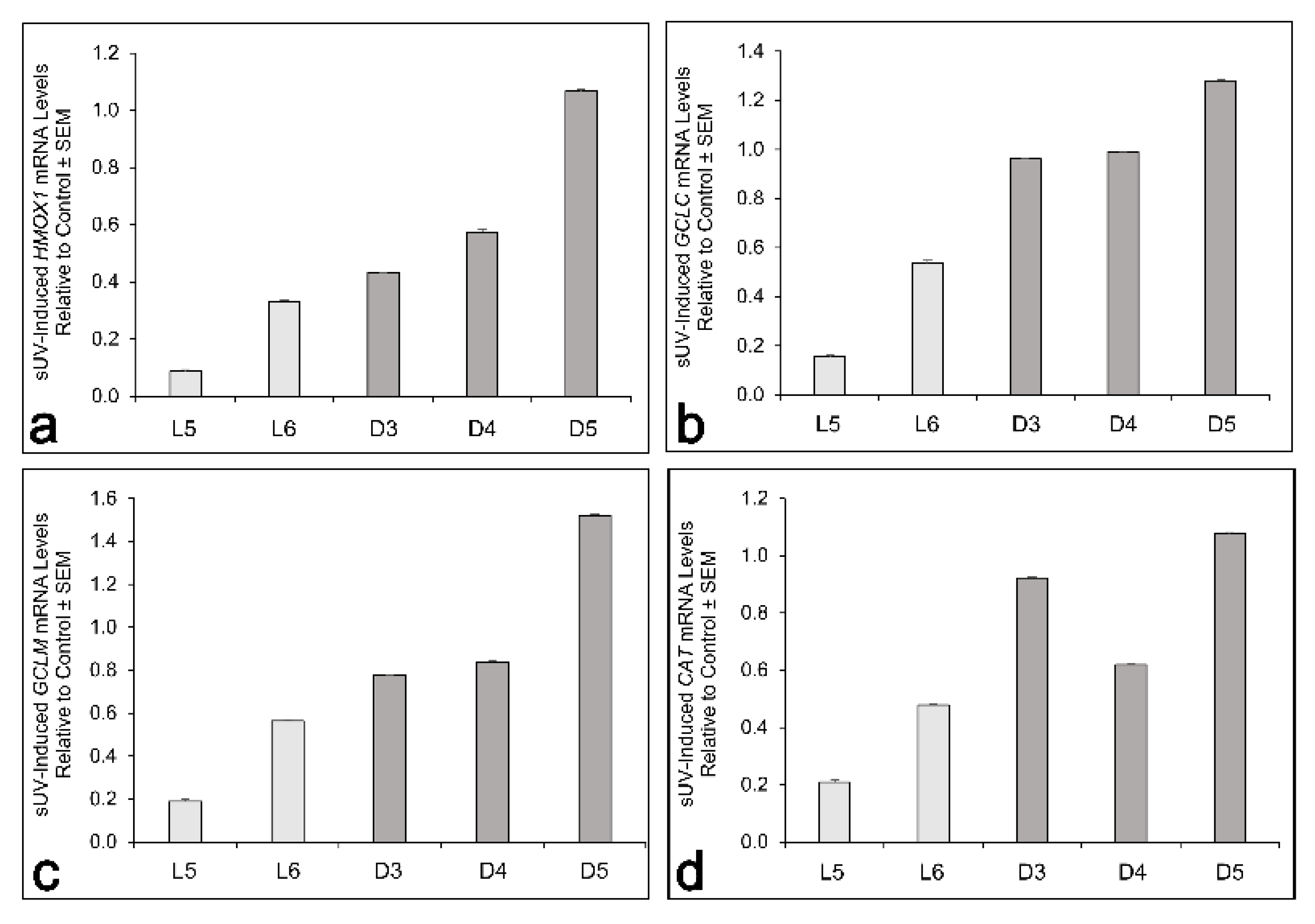 Antioxidants 11 01204 g005