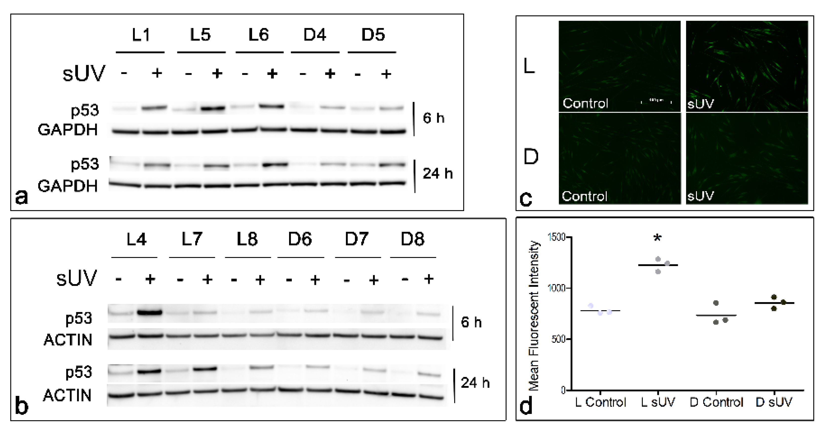 Antioxidants 11 01204 g006