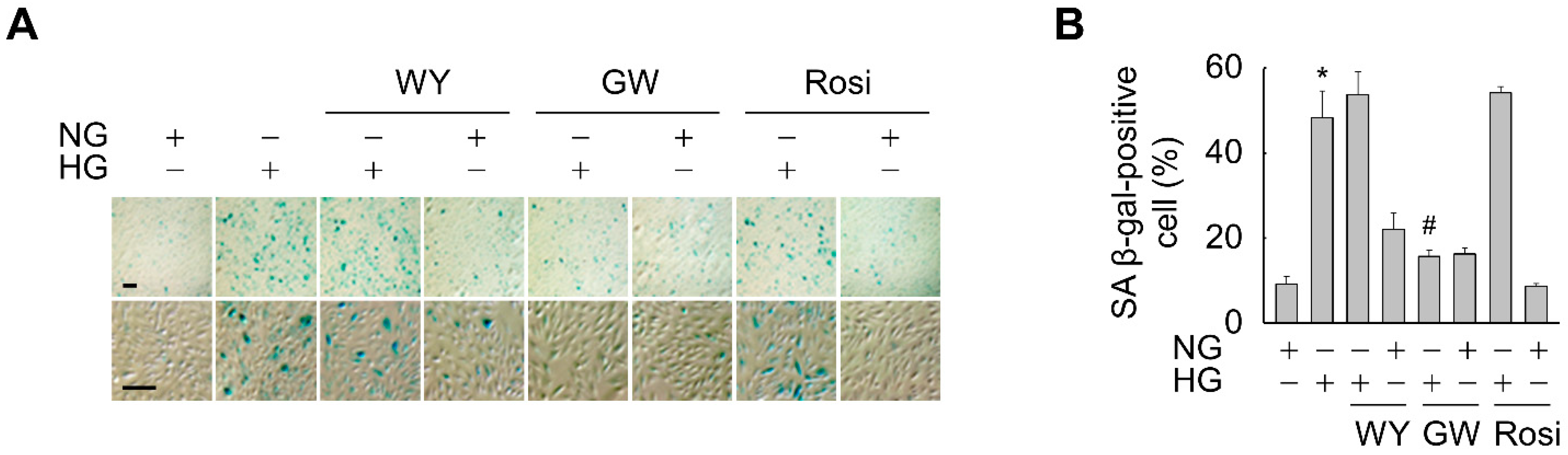 Antioxidants 11 01207 g002 Antioxidants 11 01207 g002