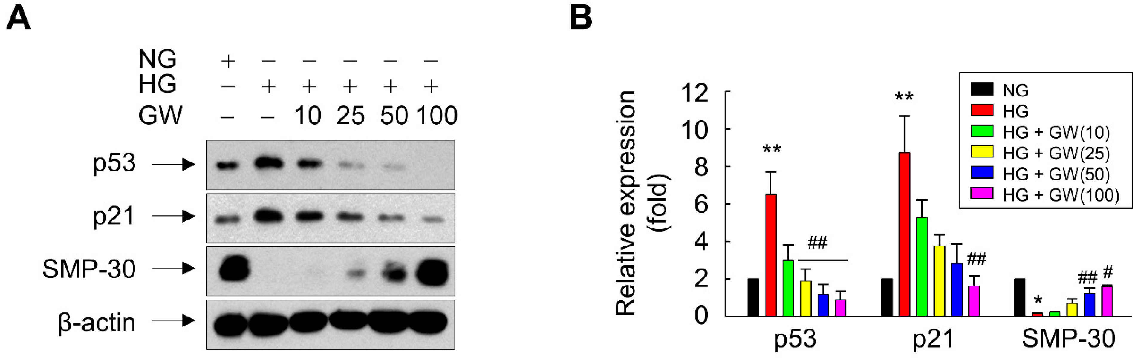 Antioxidants 11 01207 g003 Antioxidants 11 01207 g003