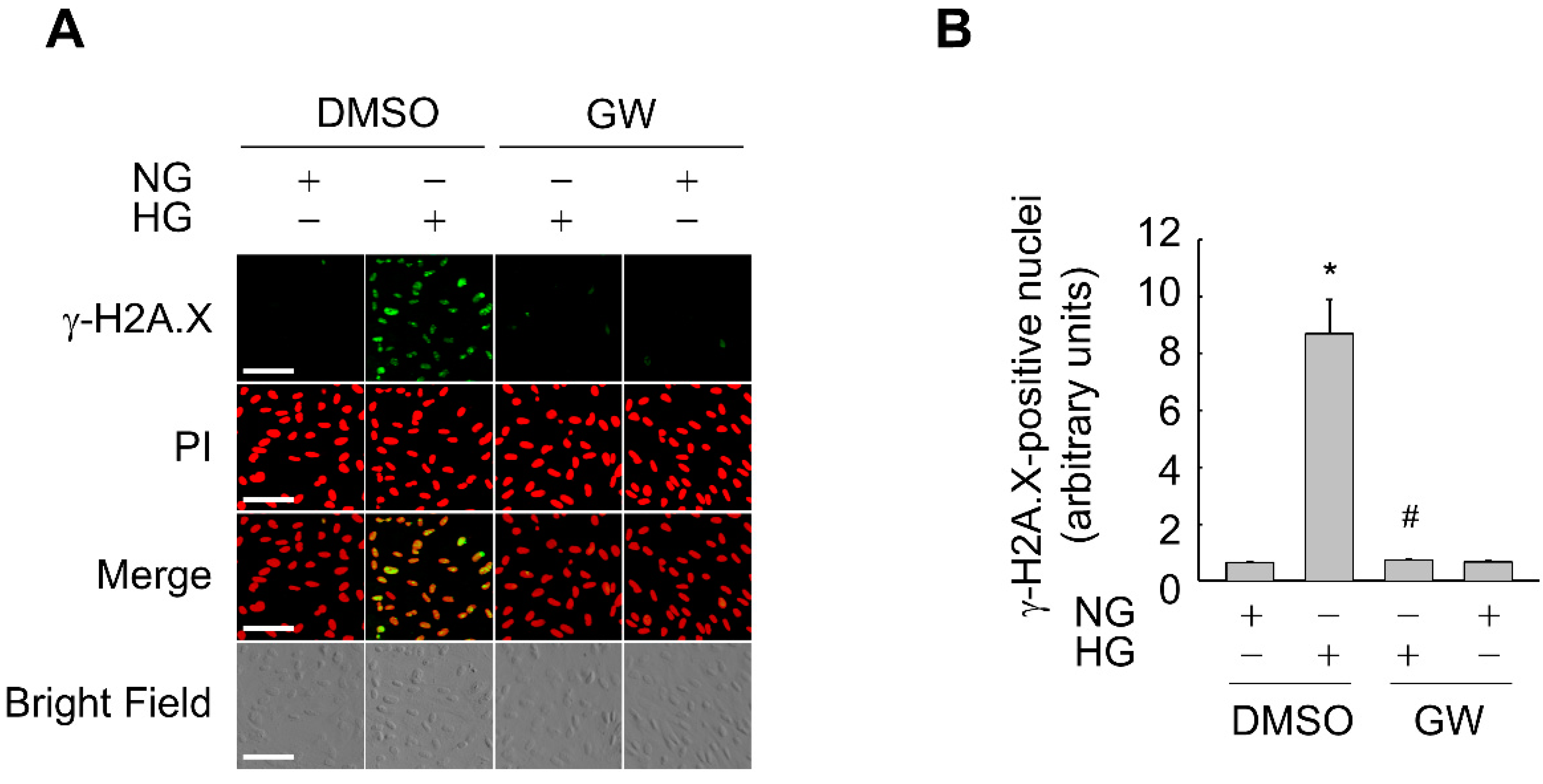 Antioxidants 11 01207 g004 Antioxidants 11 01207 g004