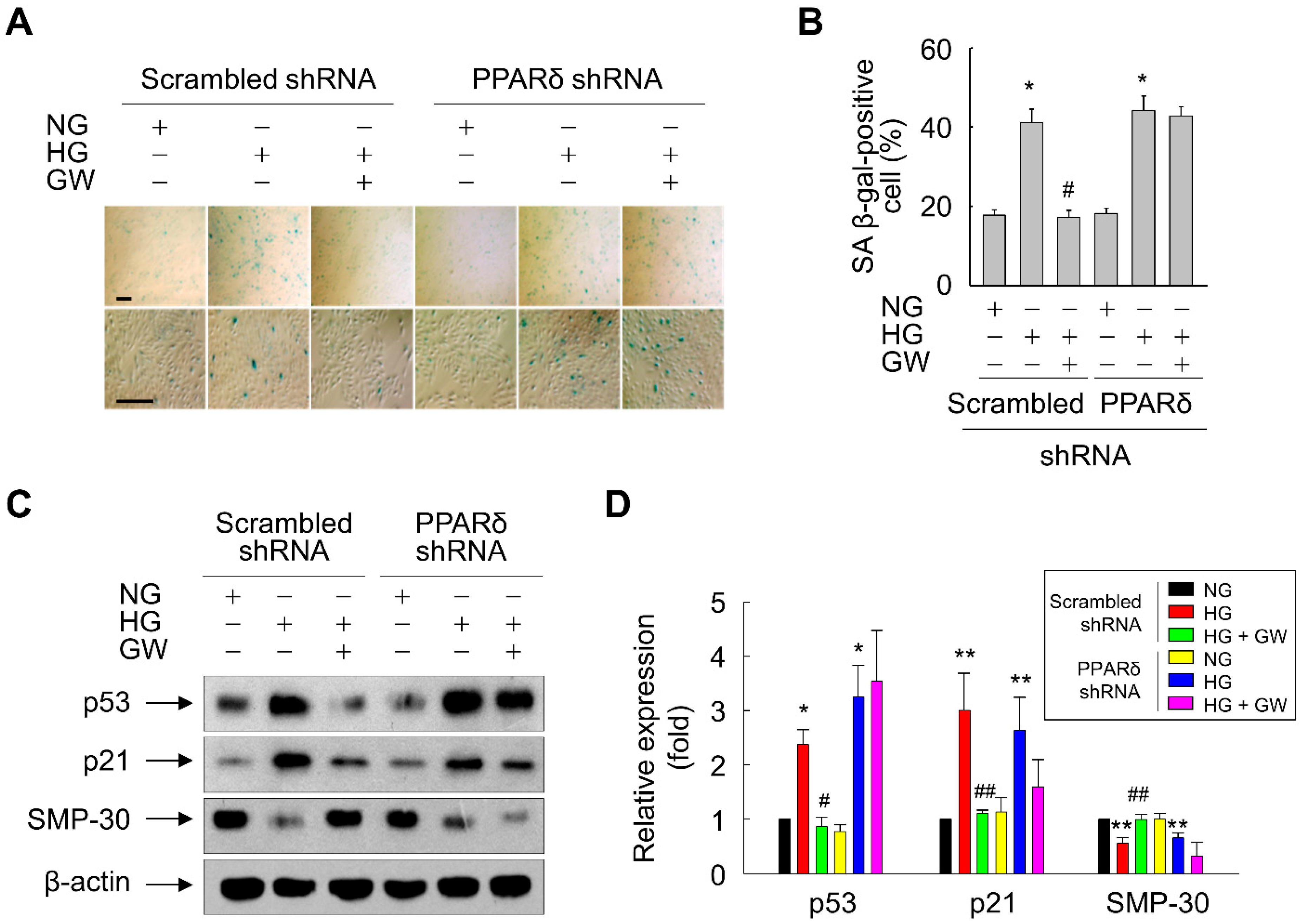 Antioxidants 11 01207 g005 Antioxidants 11 01207 g005