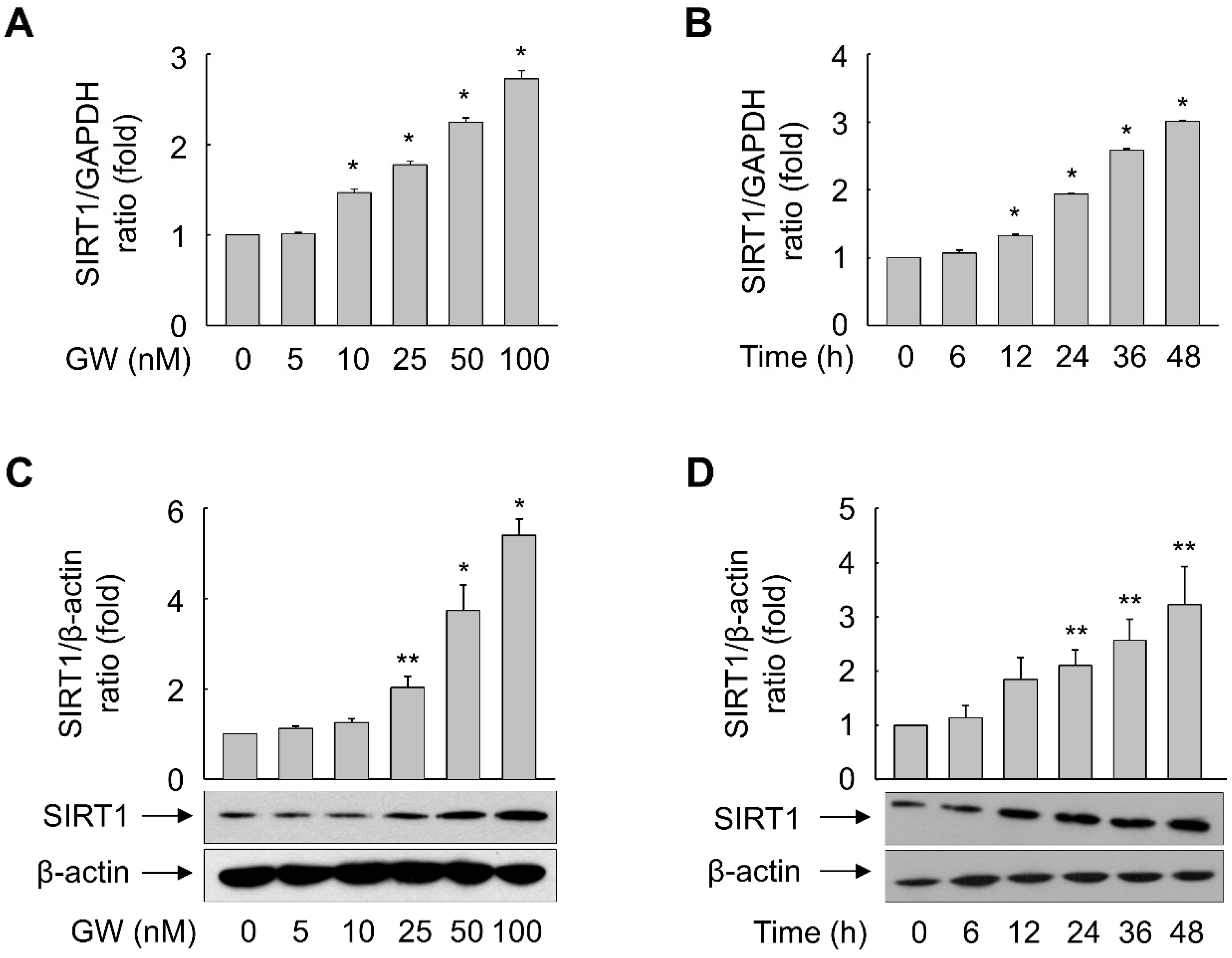 Antioxidants 11 01207 g007 Antioxidants 11 01207 g007