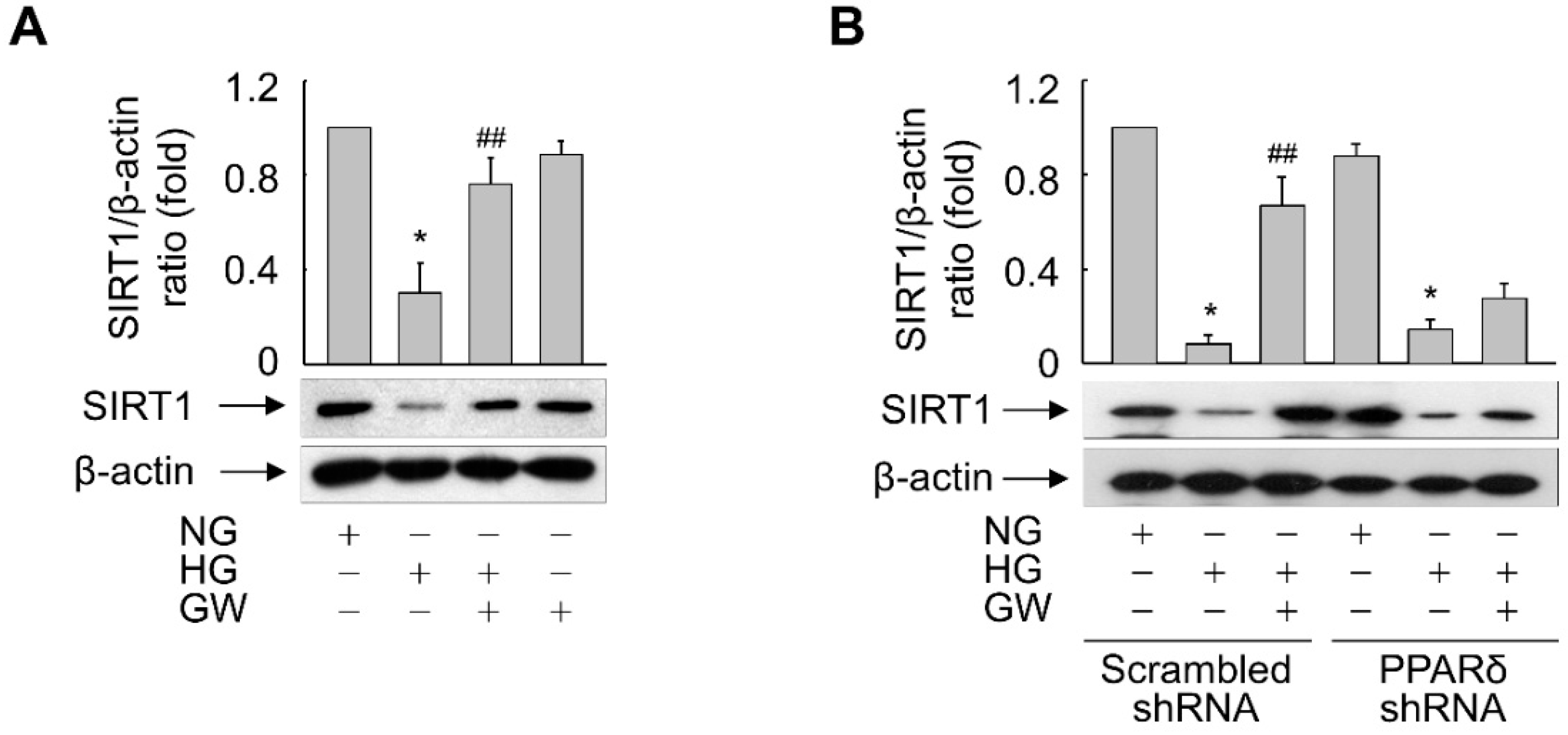 Antioxidants 11 01207 g008 Antioxidants 11 01207 g008
