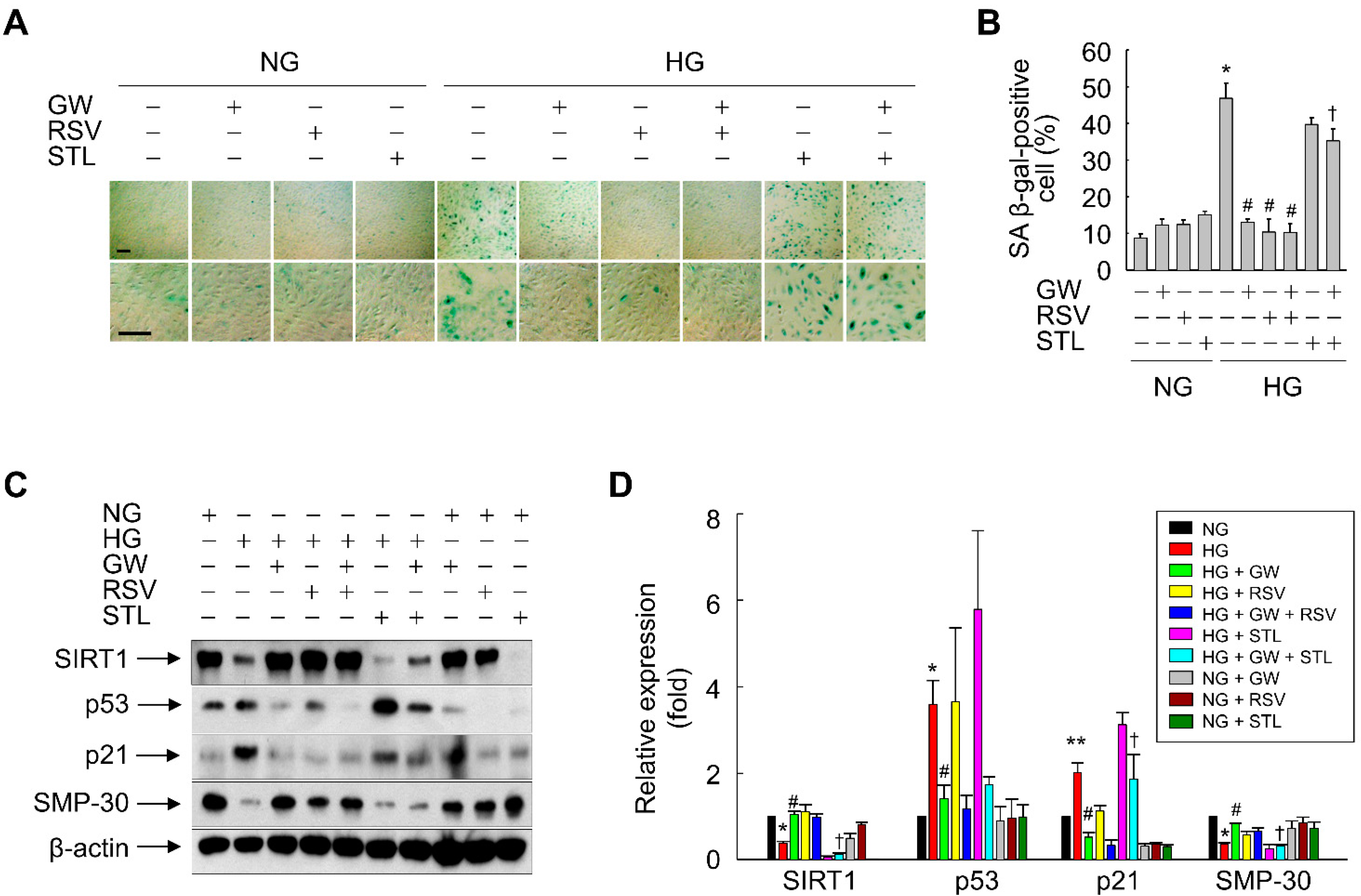 Antioxidants 11 01207 g009 Antioxidants 11 01207 g009