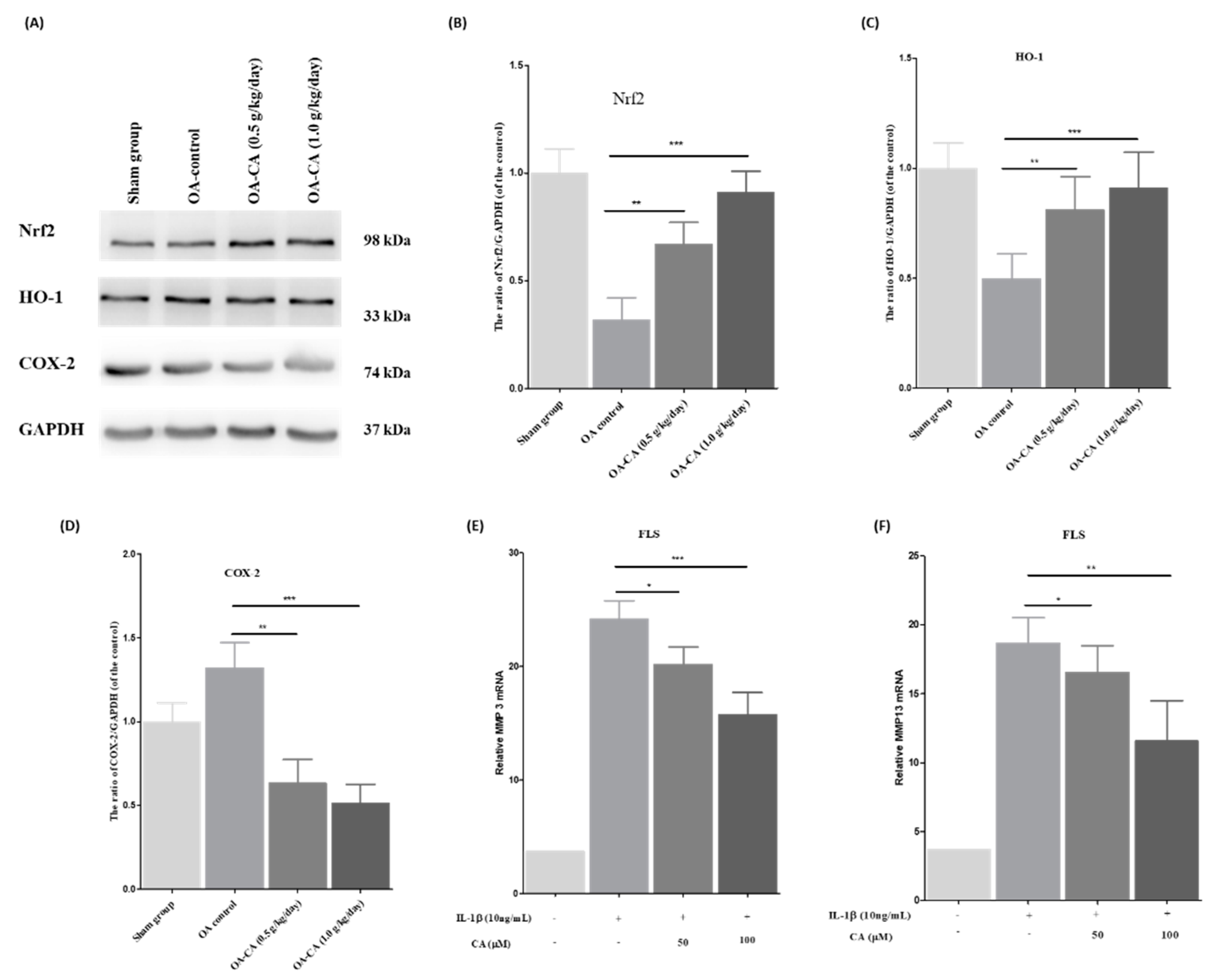 Antioxidants 11 01209 g008