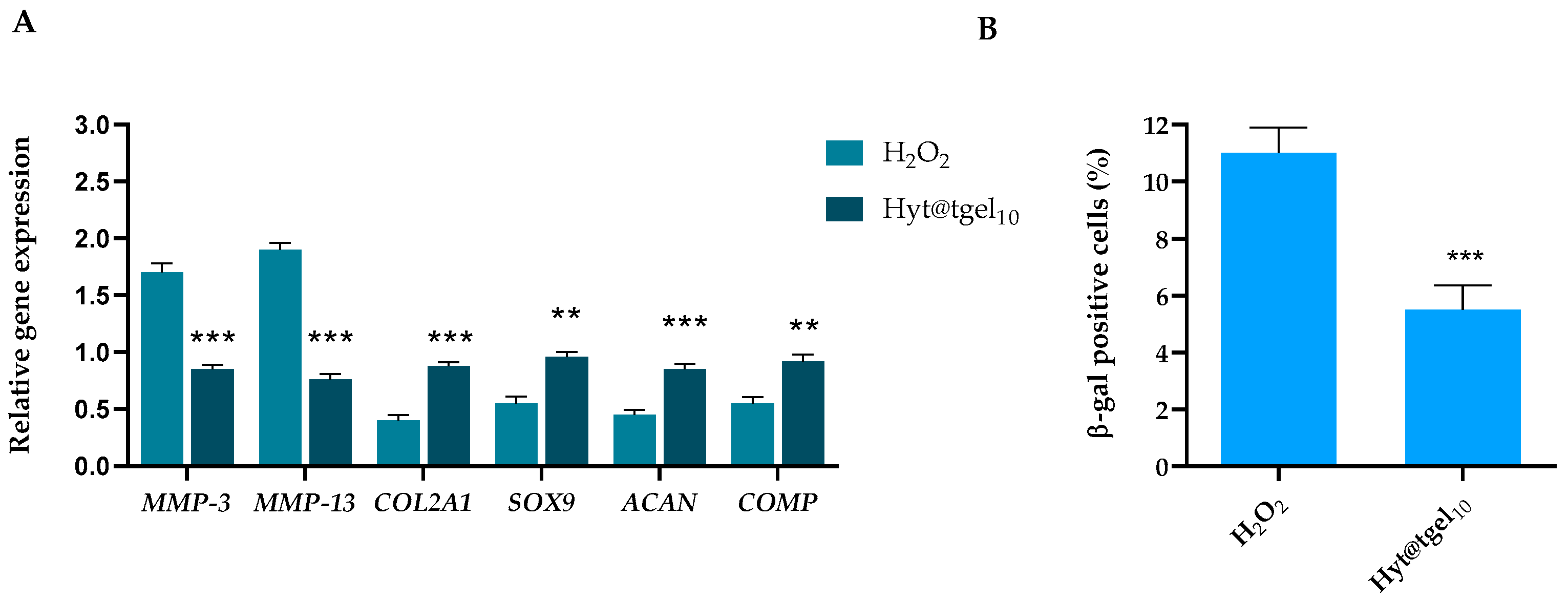 Antioxidants 11 01210 g005