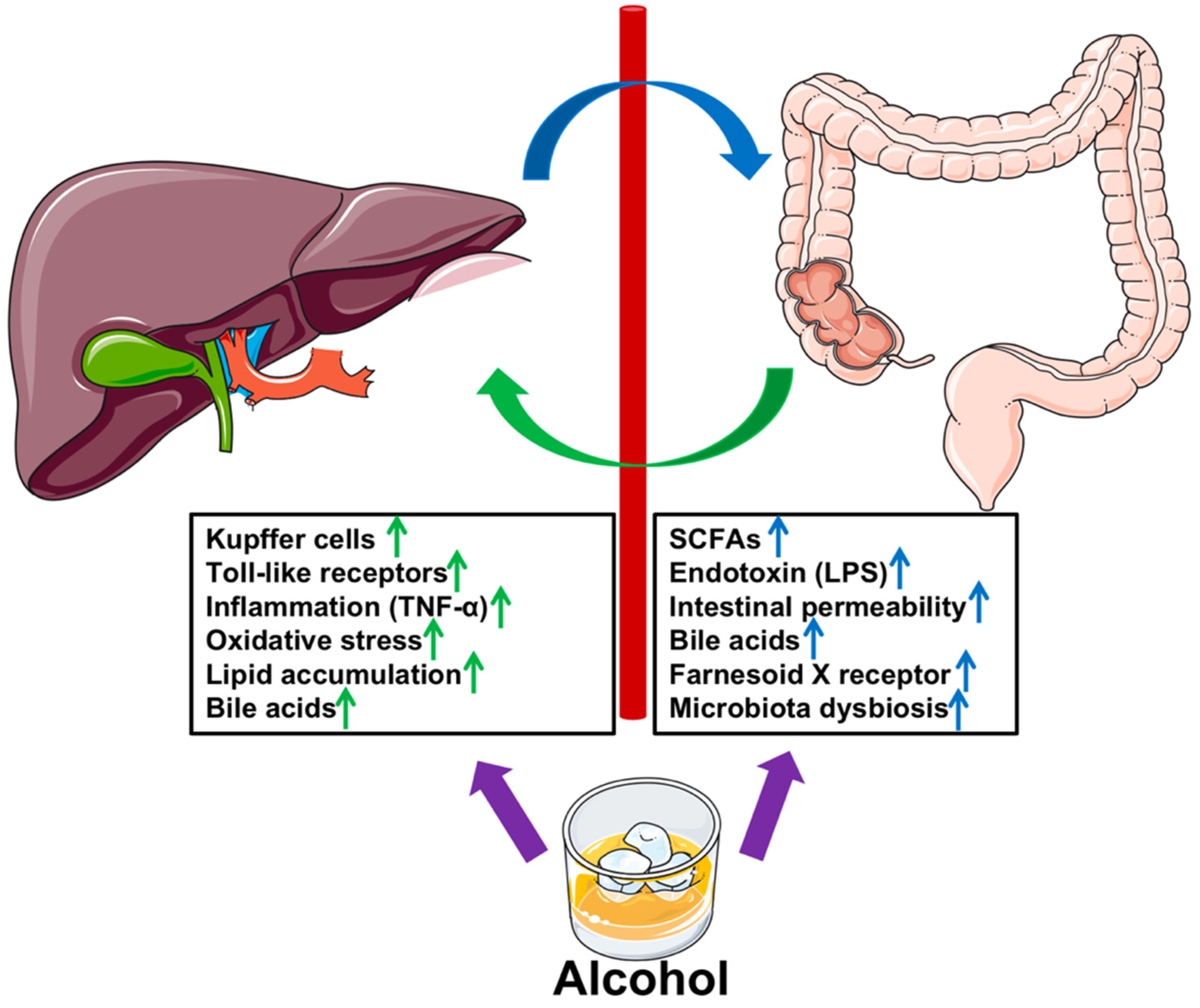 Antioxidants 11 01211 g002