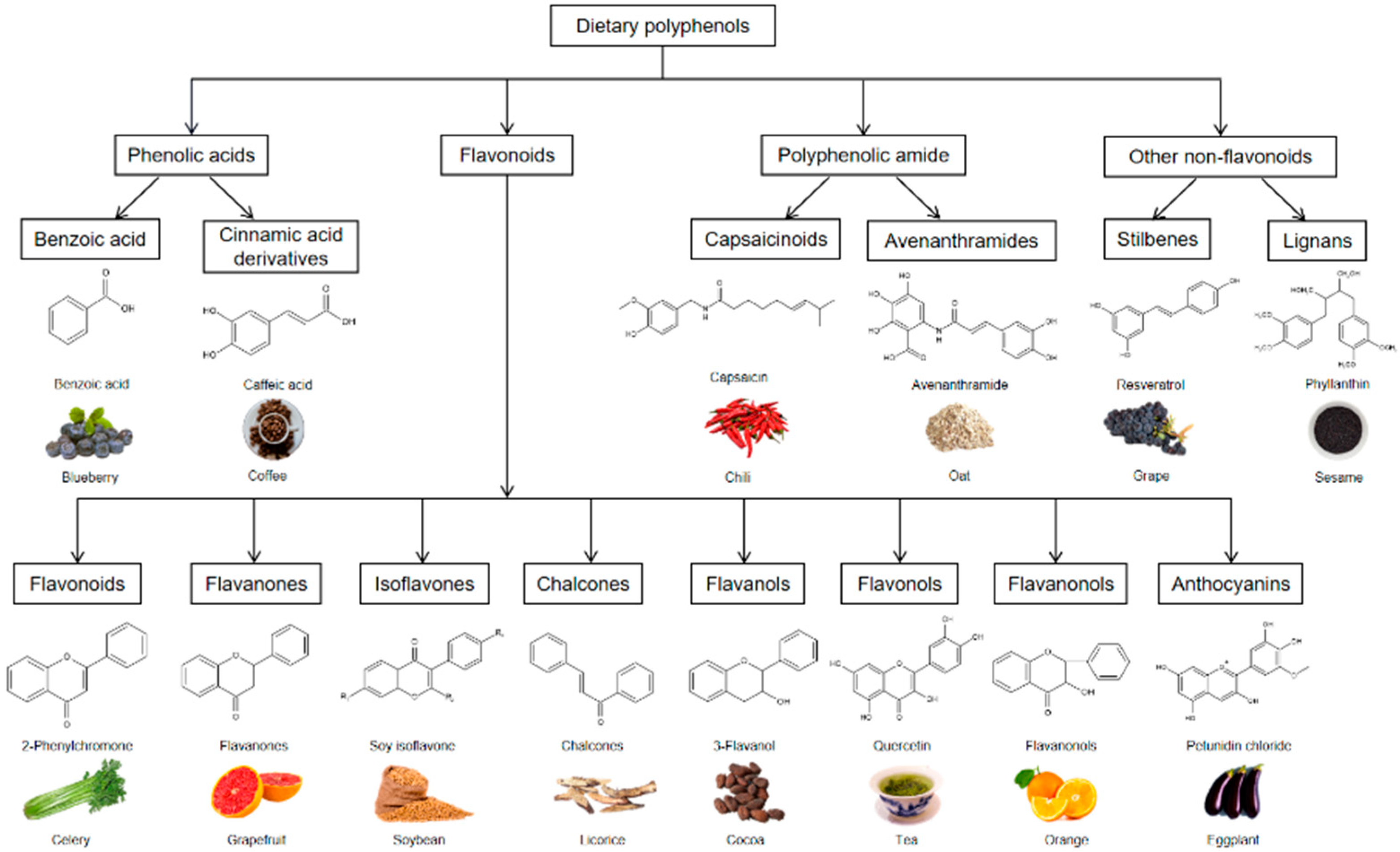 Antioxidants 11 01212 g001