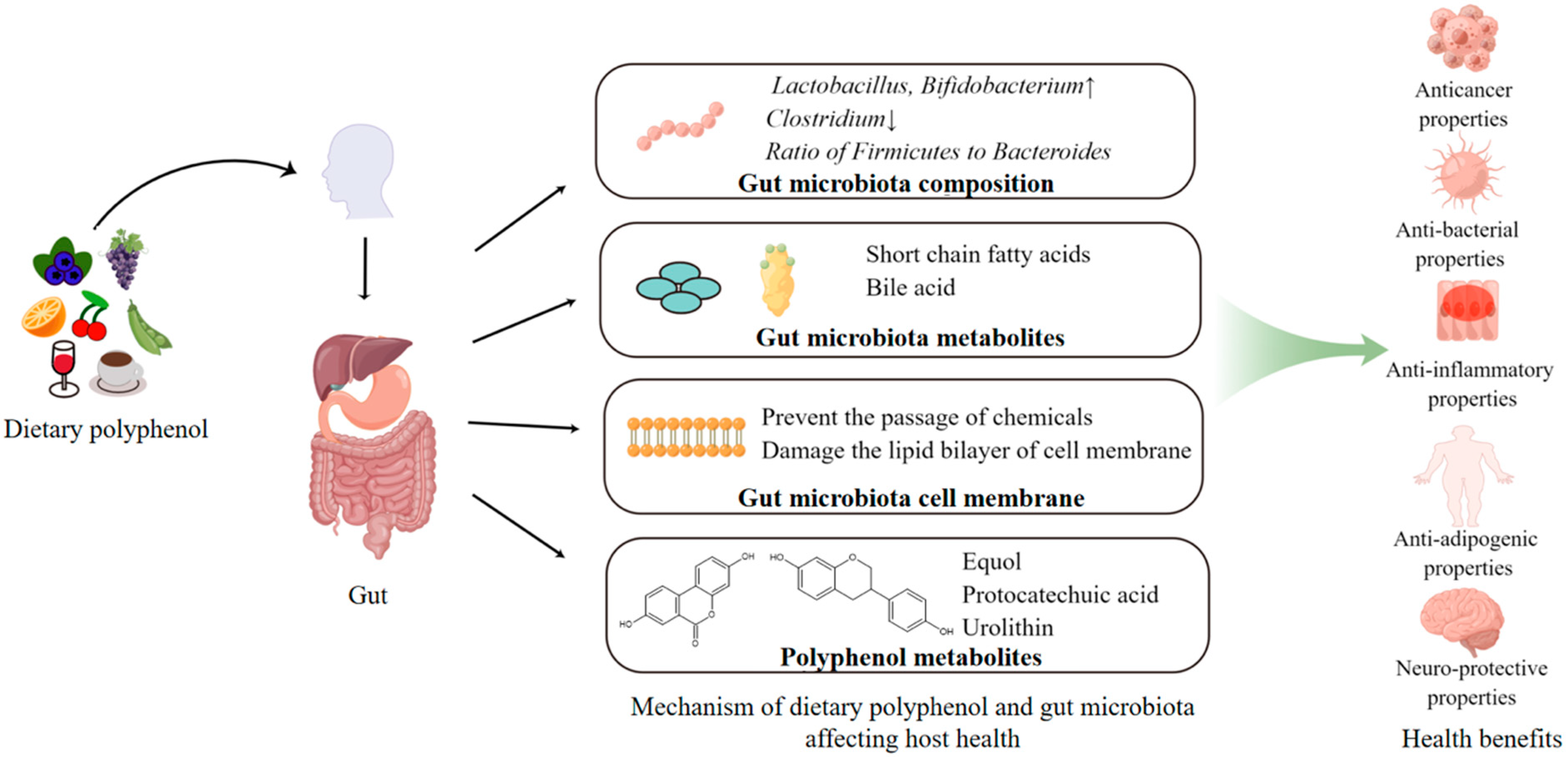 Antioxidants 11 01212 g002