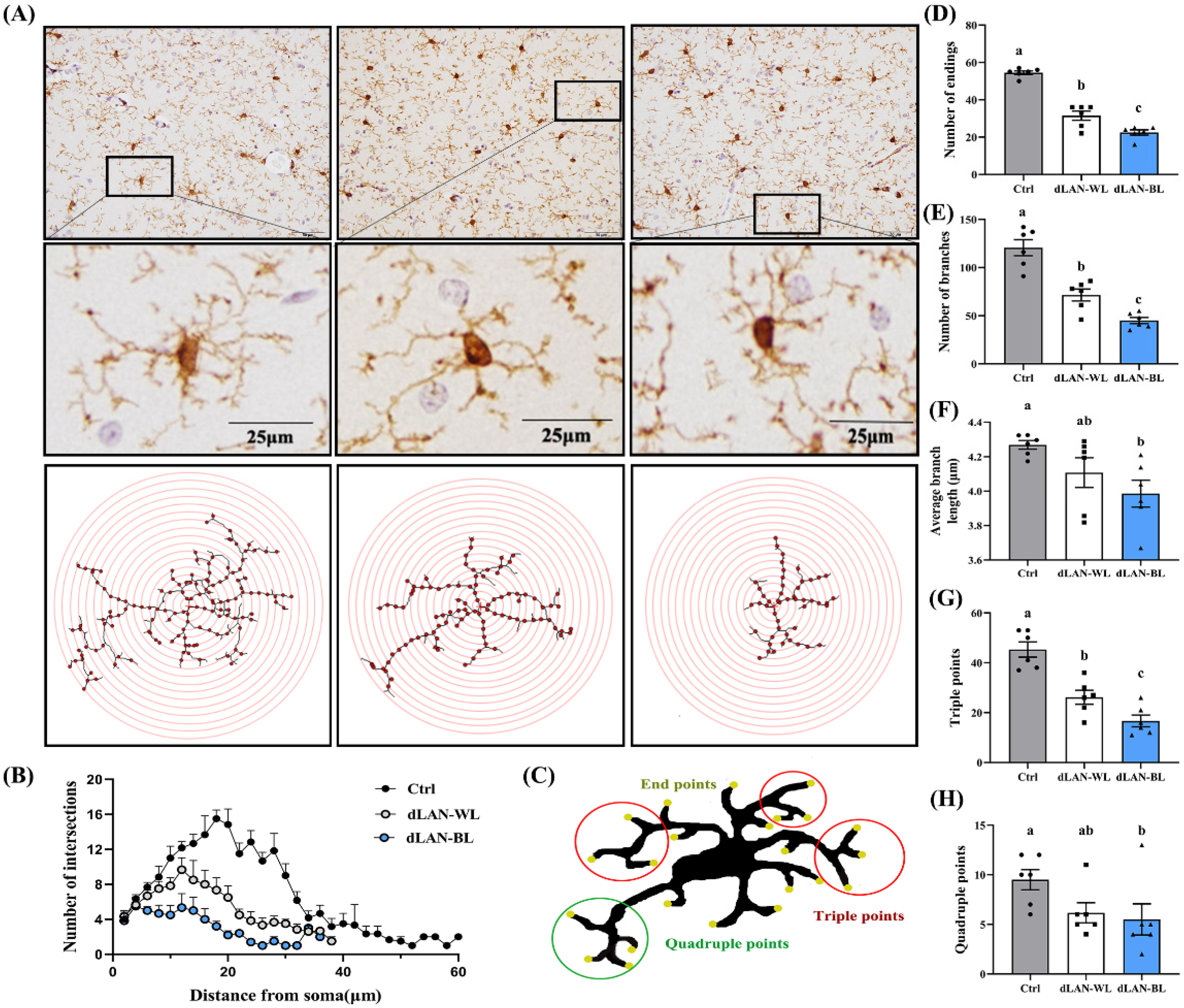 Antioxidants 11 01218 g005