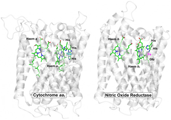 Antioxidants 11 01222 g002
