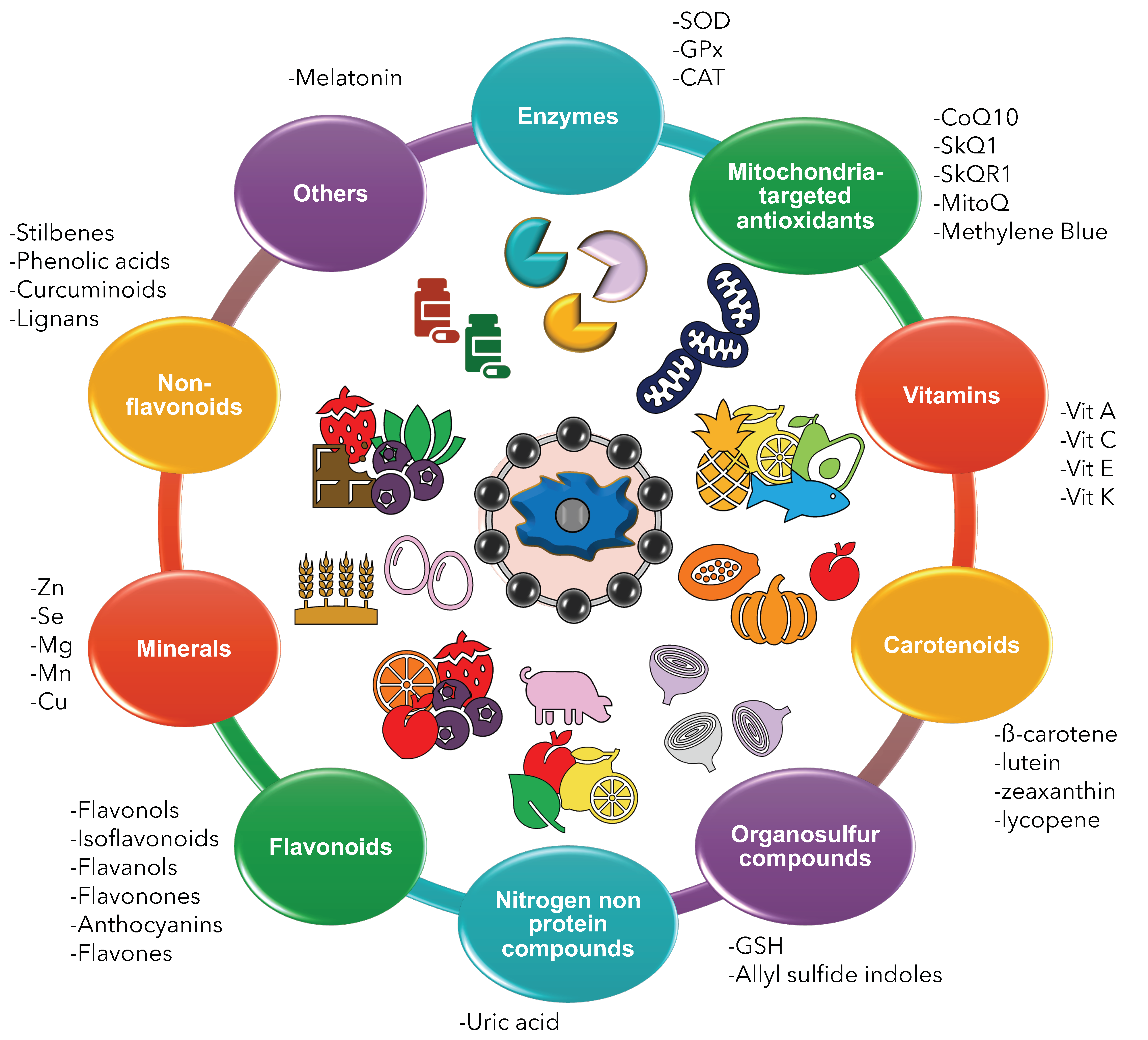 Antioxidants 11 01224 g002