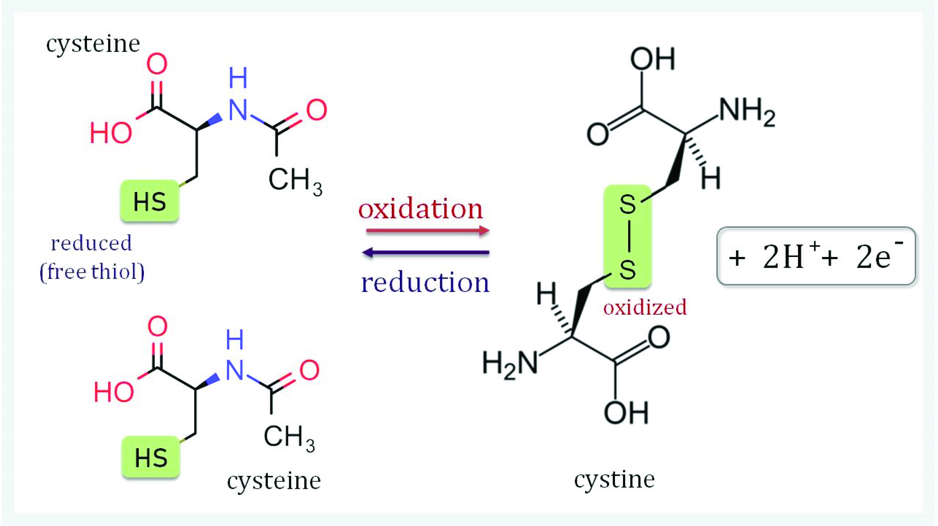Antioxidants 11 01226 g001